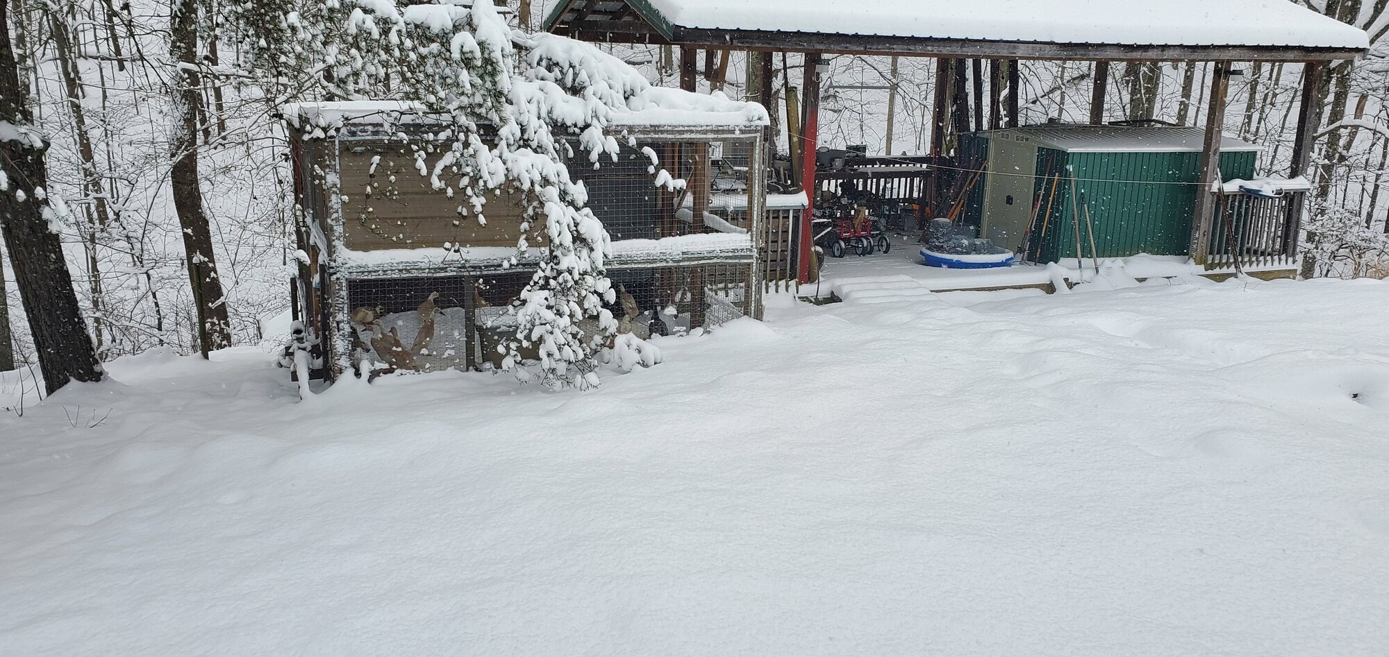 After the first snow-storm of 2022