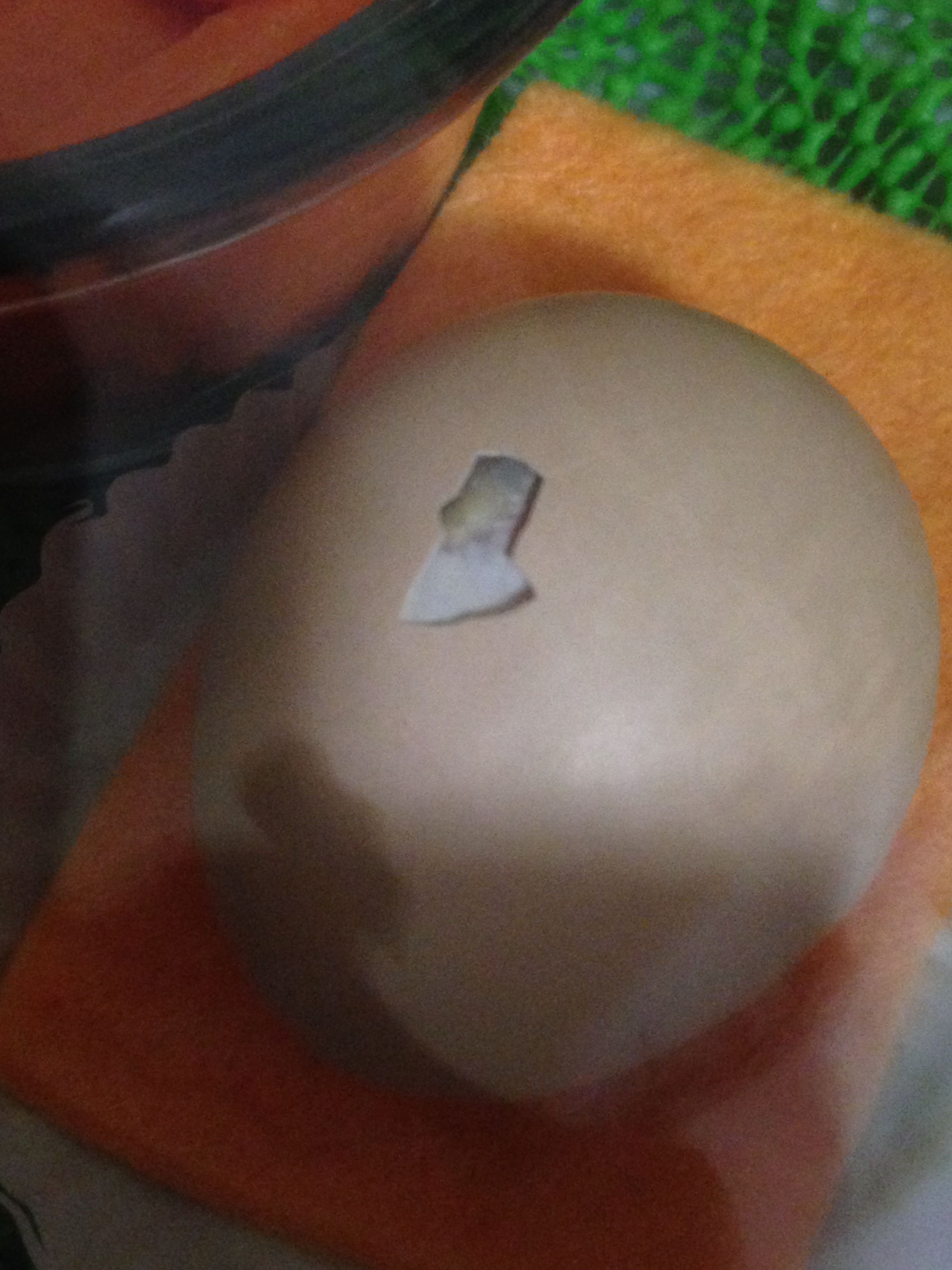 After waiting until day 22, finally a pip