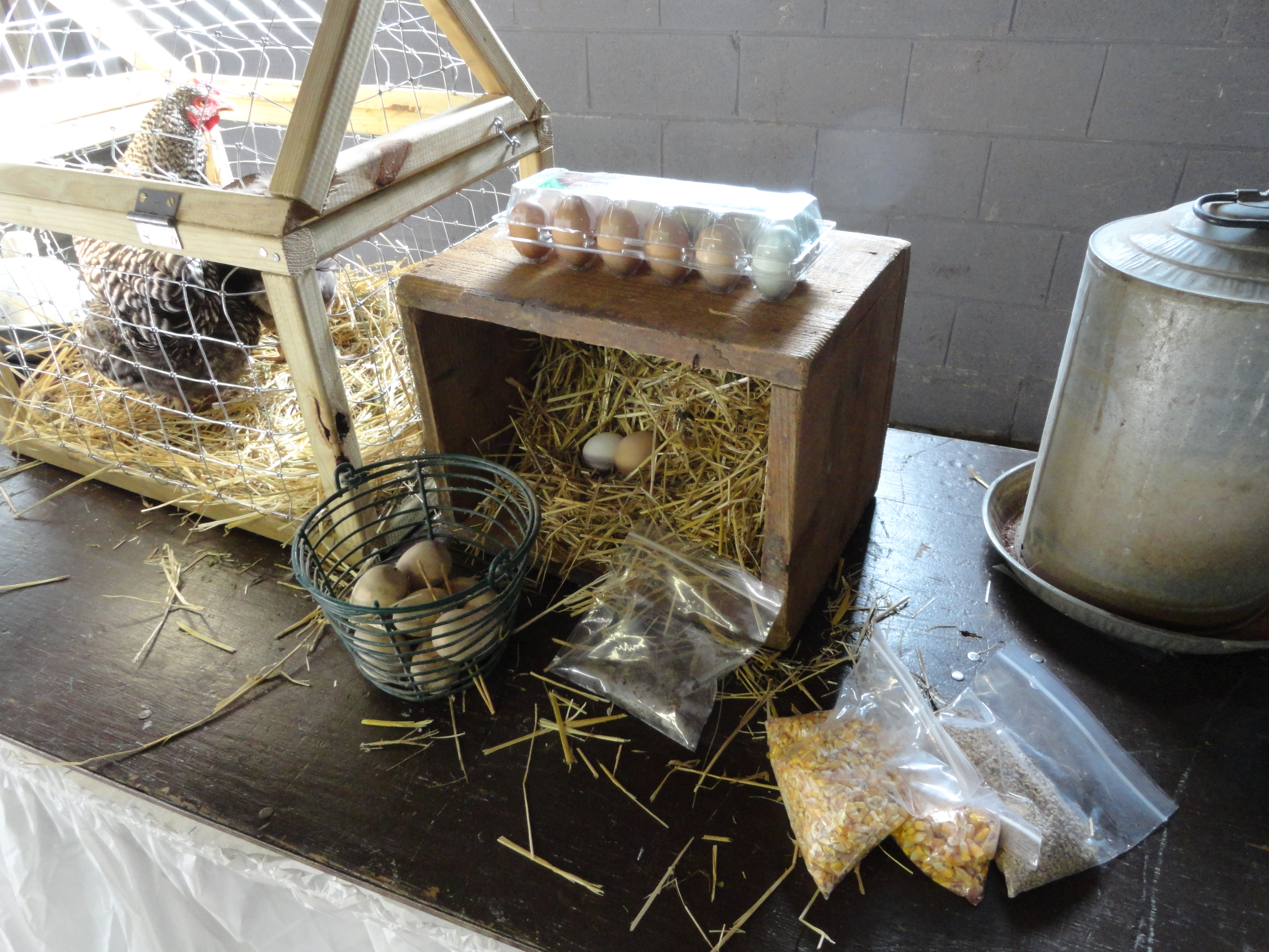 Ag. Expo Display 2014