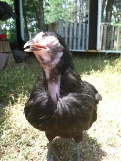 Agnes not feeling herself -