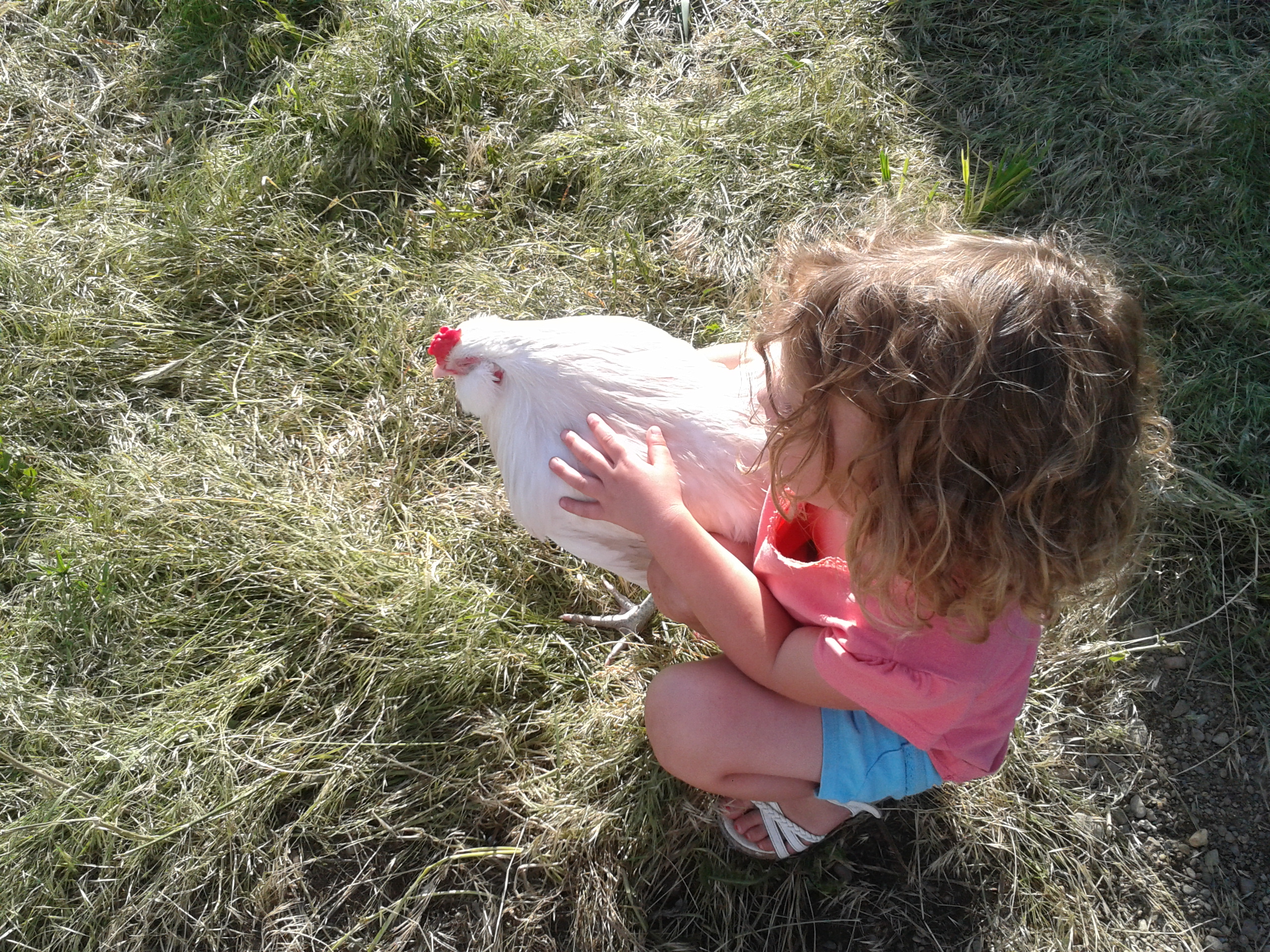 Alex and Moe the Rooster
