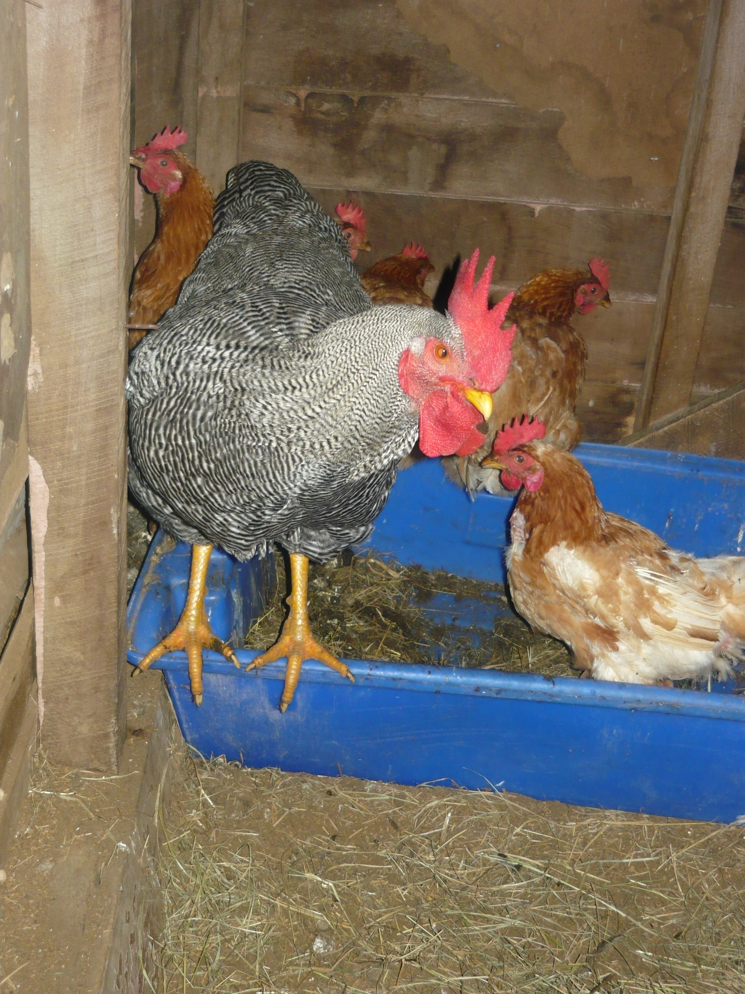 All huddled up for bed time.