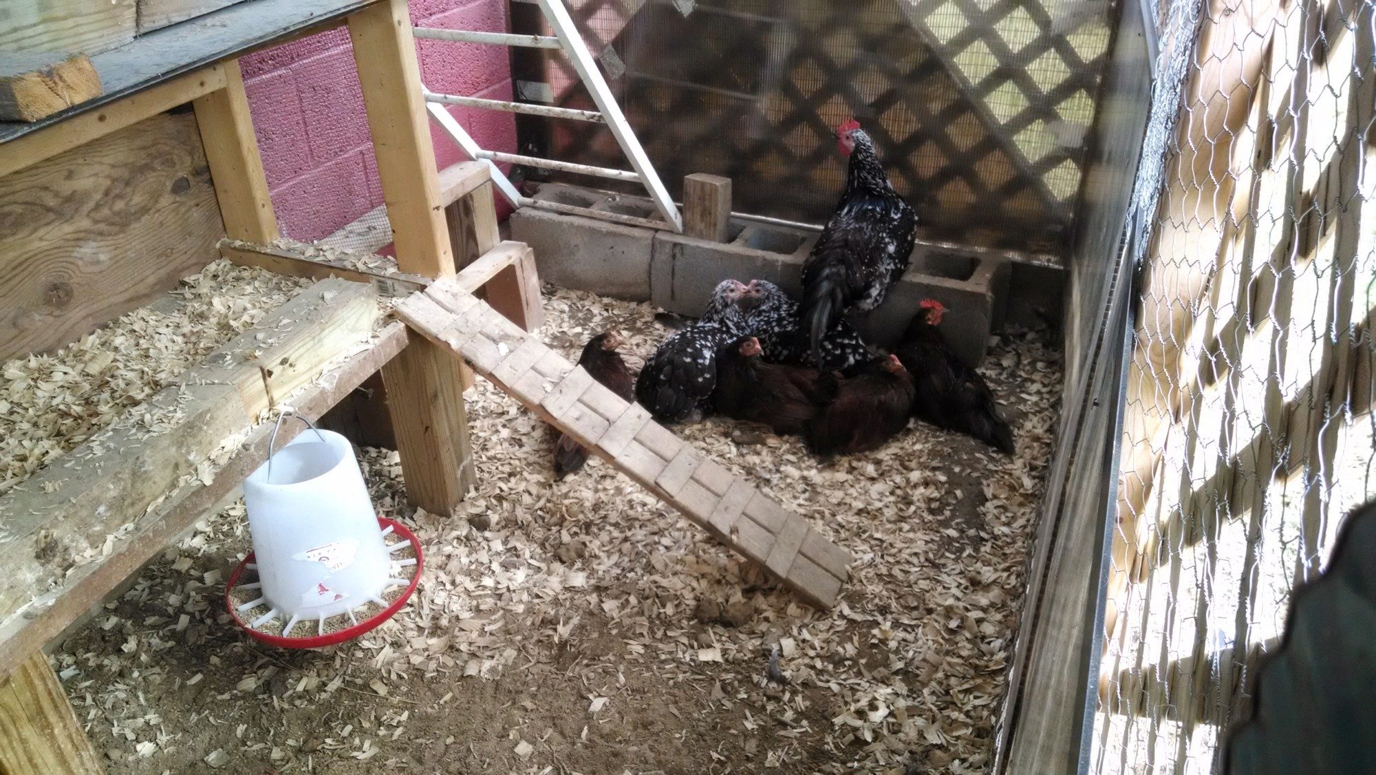 all huddled up
