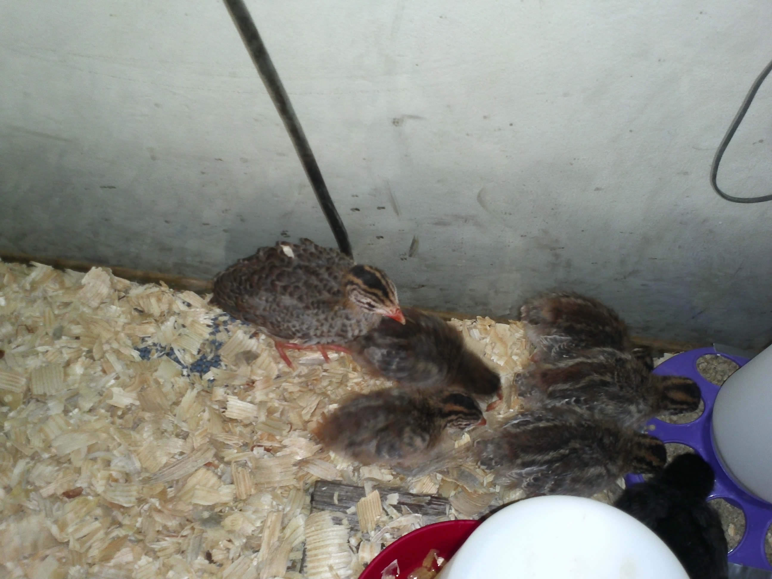 All piled up in their temp home