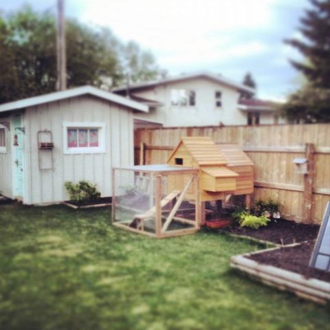 All set up, ready for paint!
