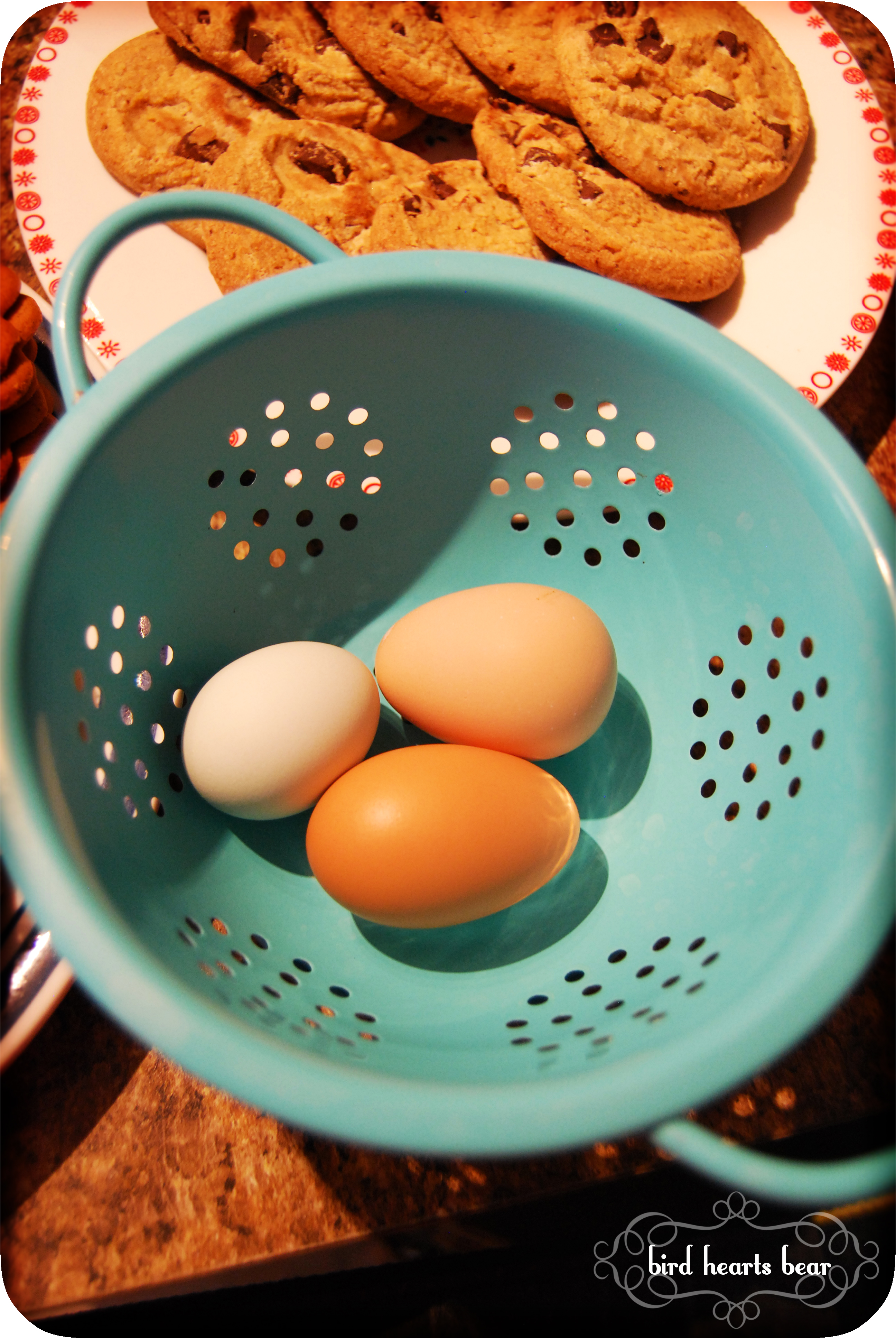 All the eggs are still adorably tiny.