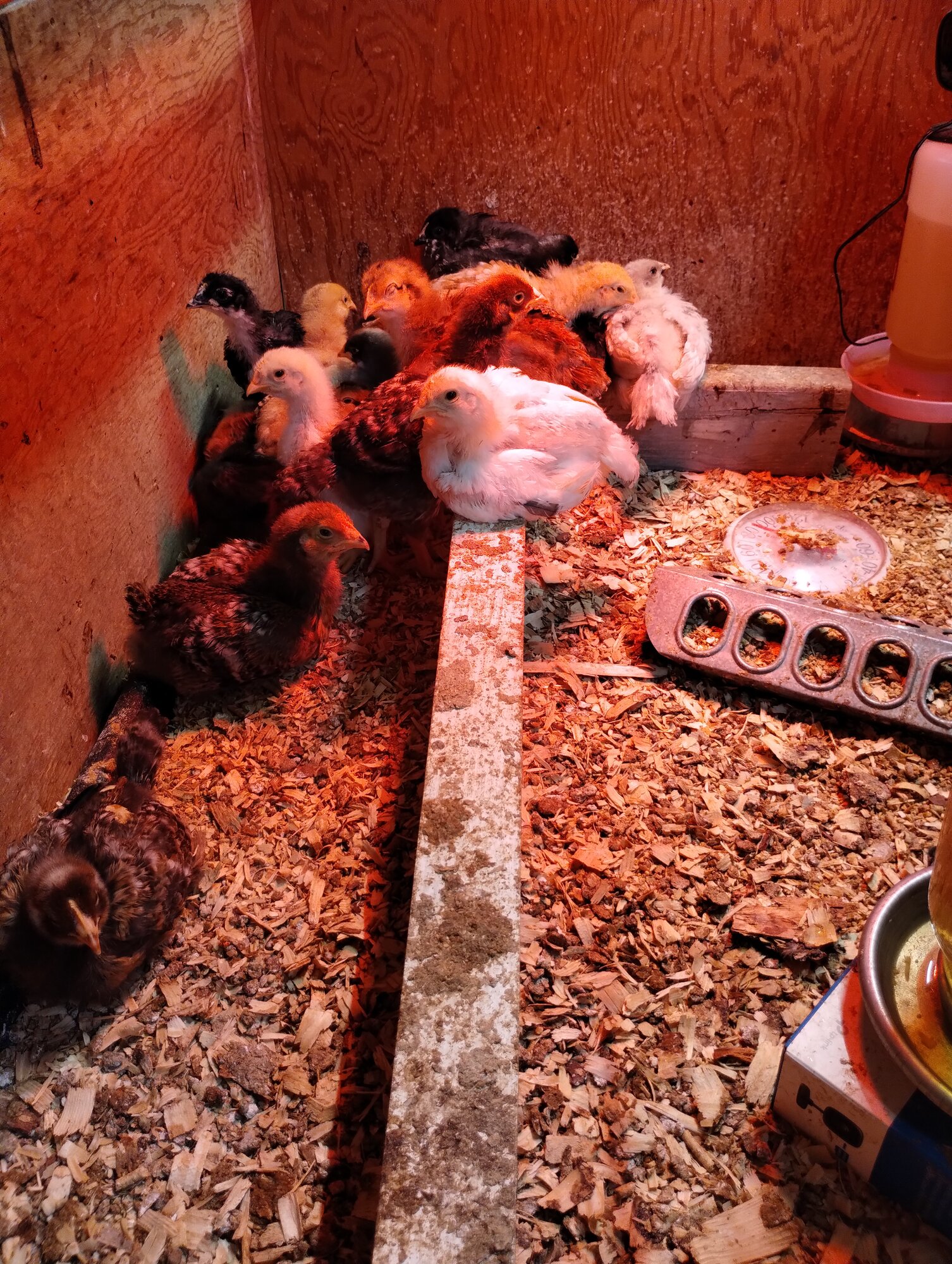 All the kids finally left and I'm still getting side eyed for bringing them around!