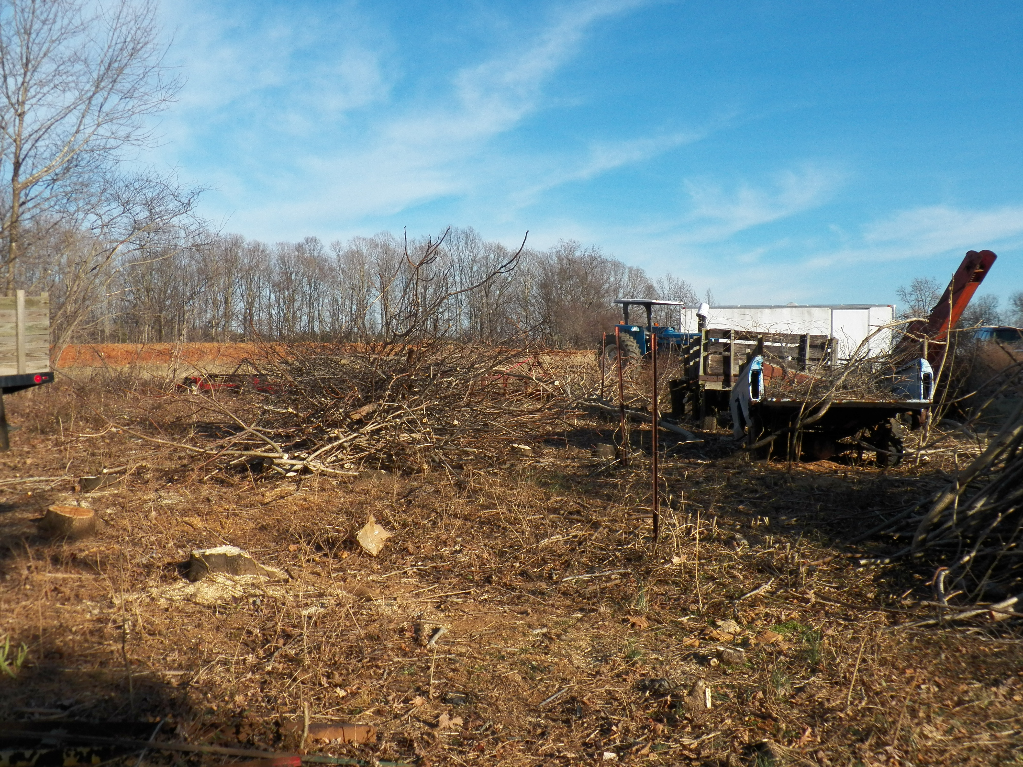 All the trees have been cut down and the brush is ready to be burned.