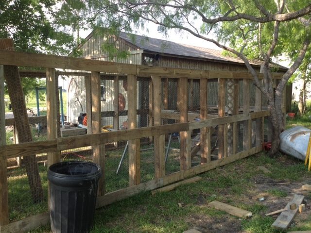 All the walls are up now working on the coop part.