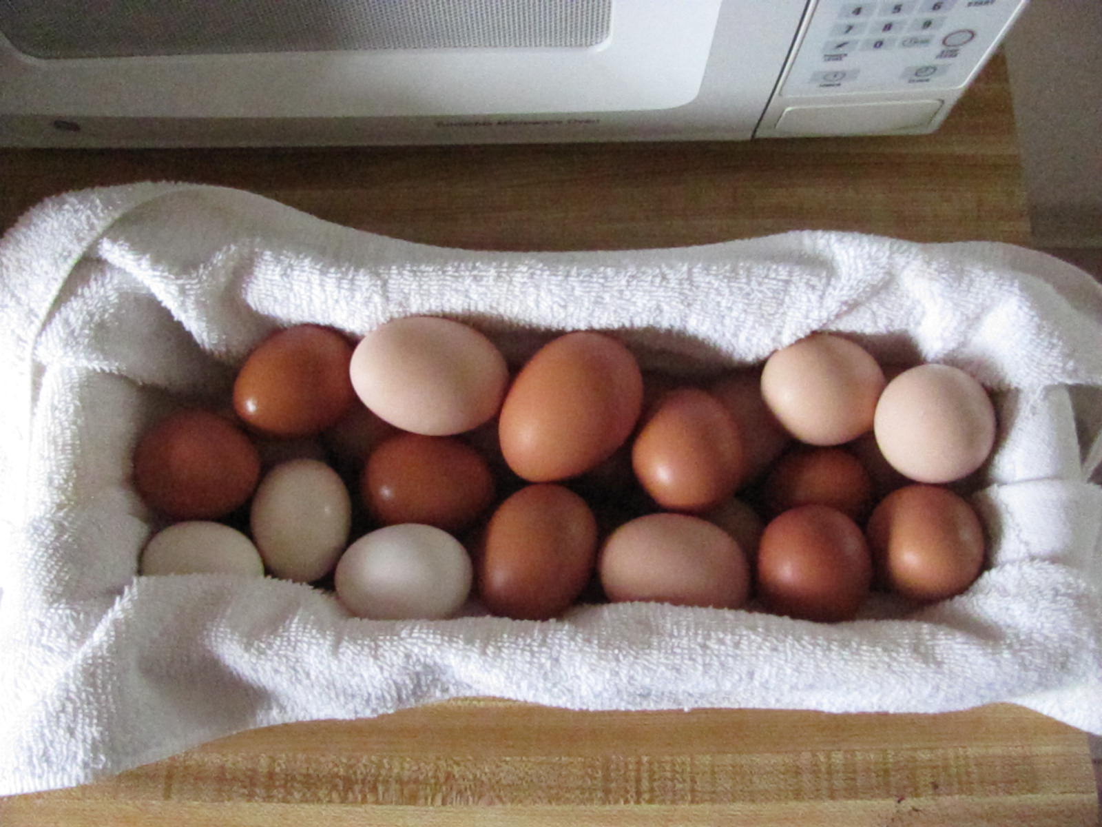 Almost 3 Dozen in 2 days!