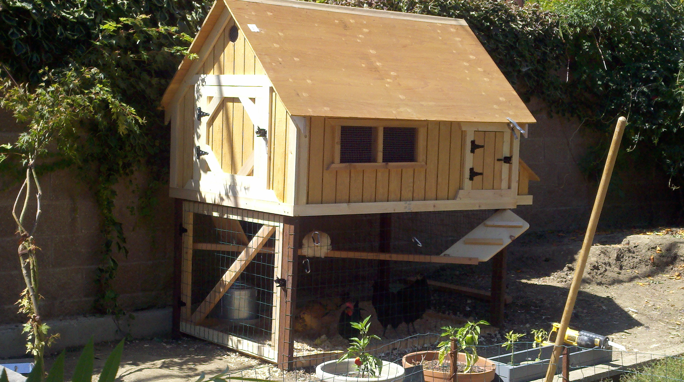 Almost Complete. Chickens don't care.