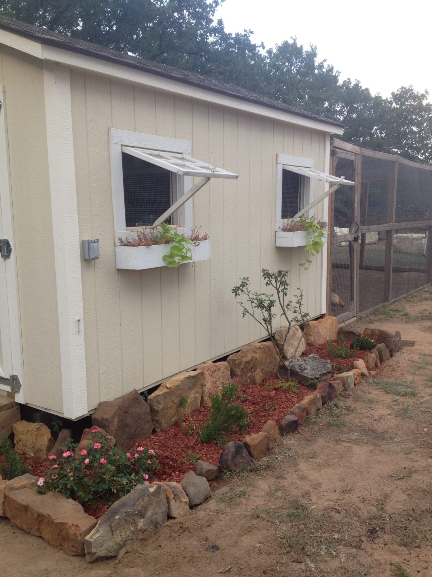 Almost done with our coop!  My favorite thing about the coop is the windows.  They were salvaged from my Grandparents old Dairy Barn!  I also love the inside screen door.  It came from my father-in-law.  He had thrown it away when he remodeled and I actually dug it out of a trash pile!