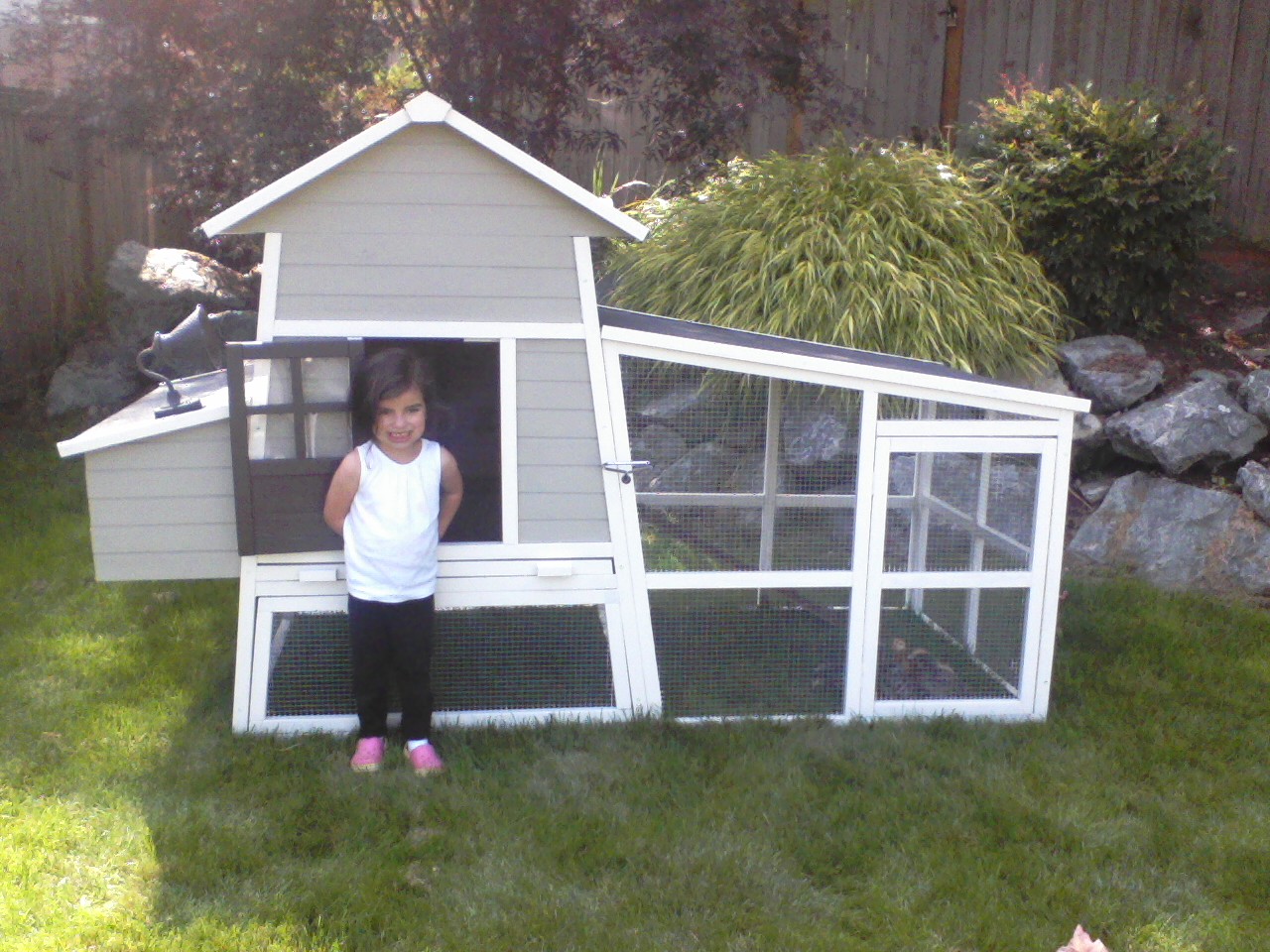 Almost finished with the coop.  It just needs electrical for an outdoor light and a heating element.