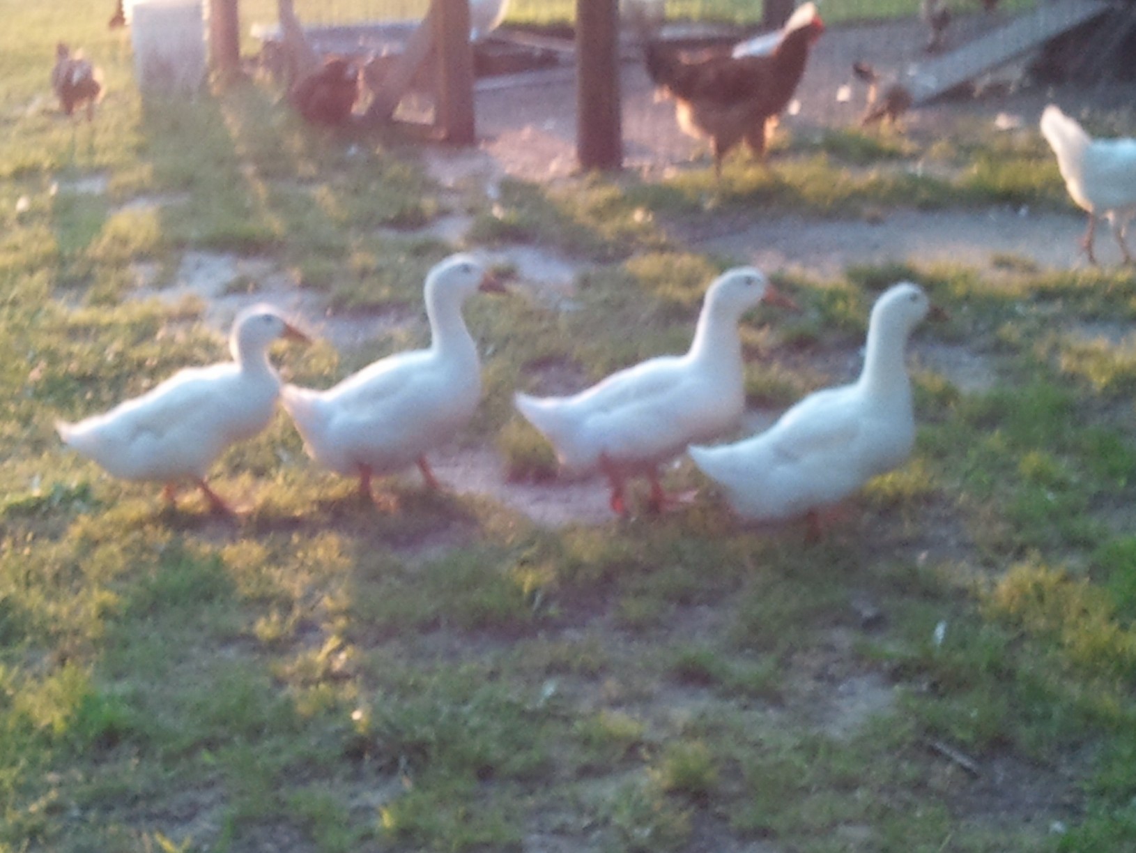 Almost night time , its been a busy busy day !!