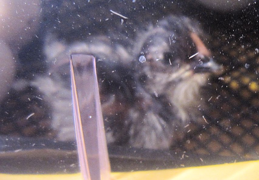 Almost ready to meet the others