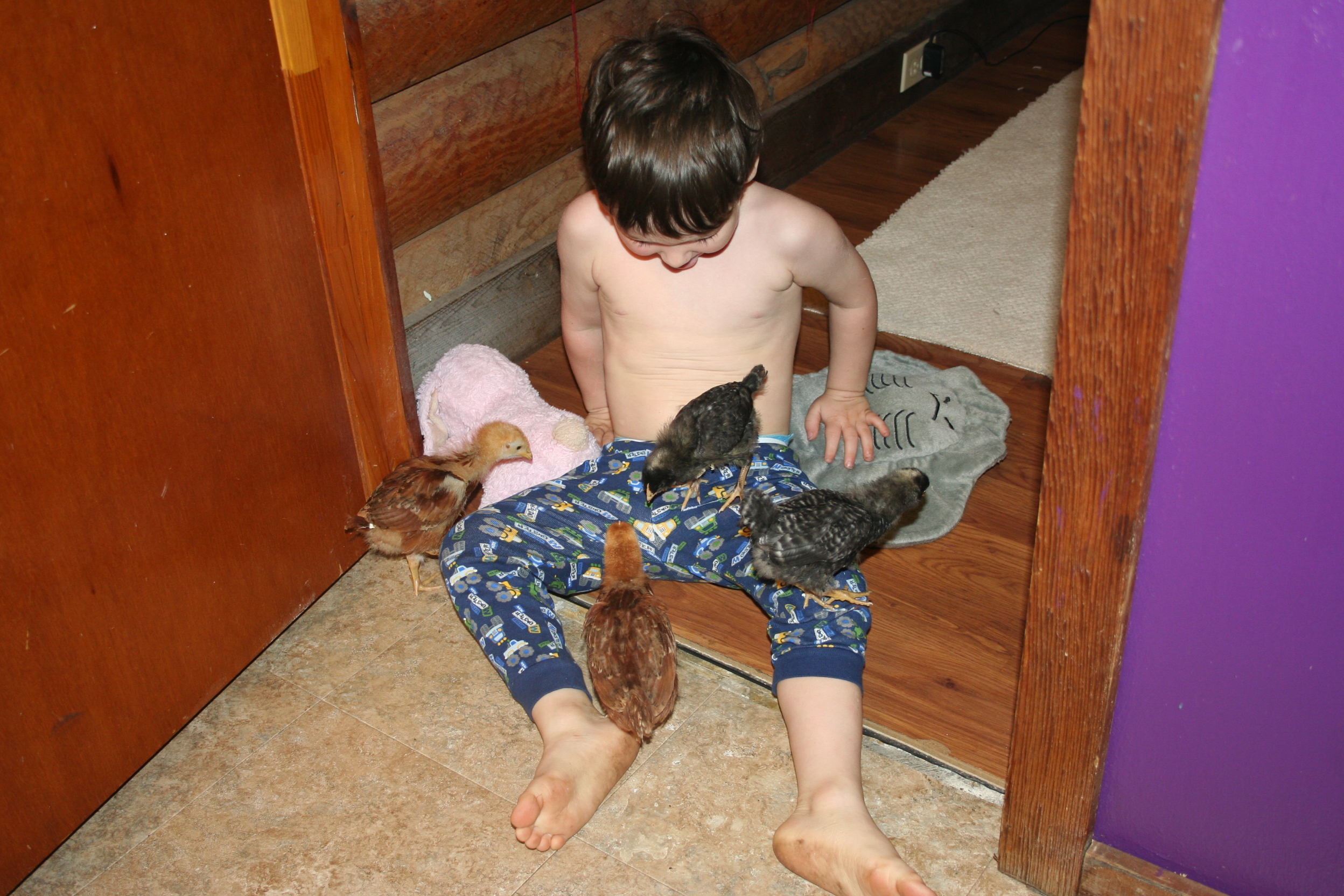 Alright...who let the chickens out?!?