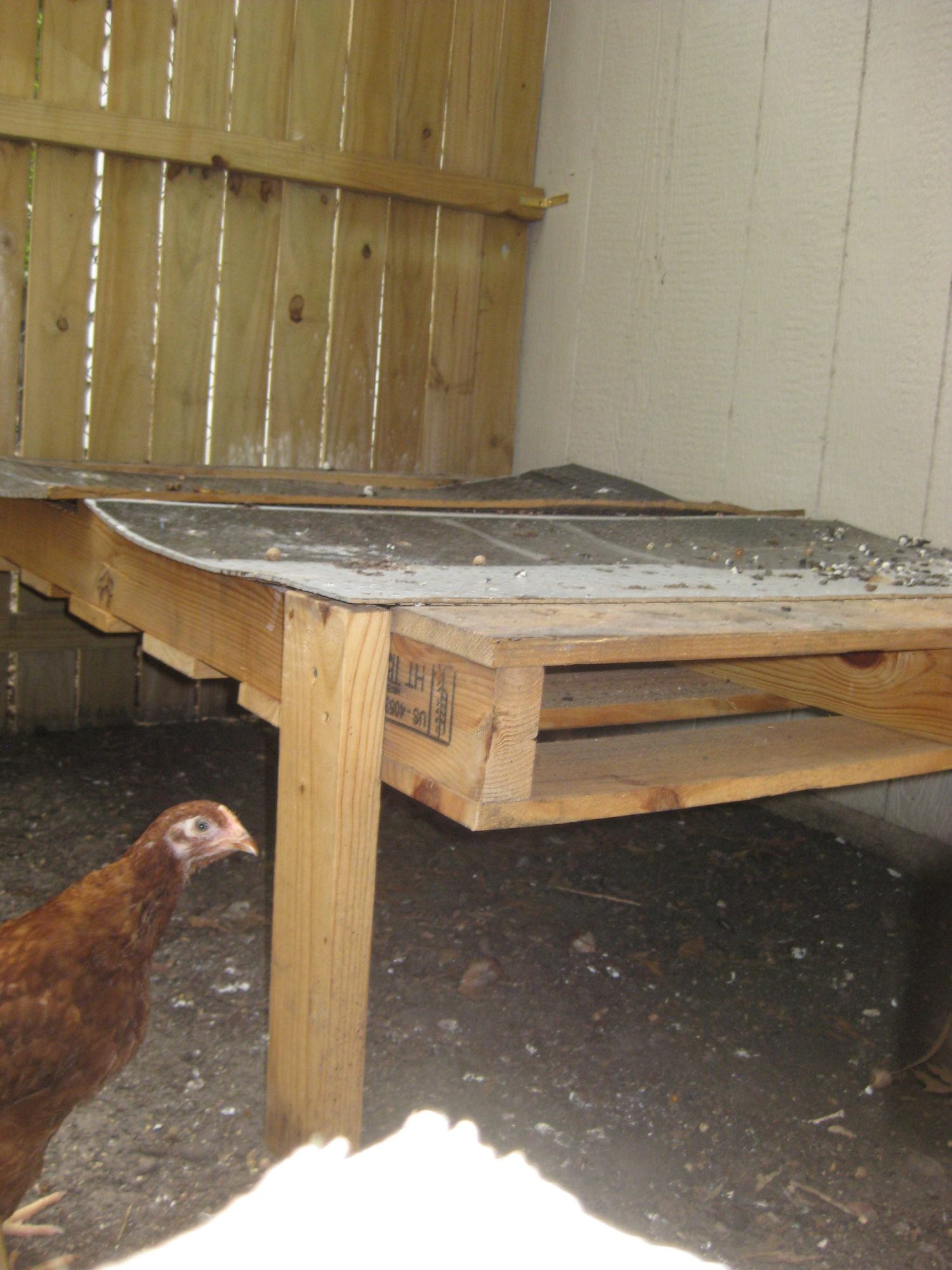 Also inside...provides awesome shade!