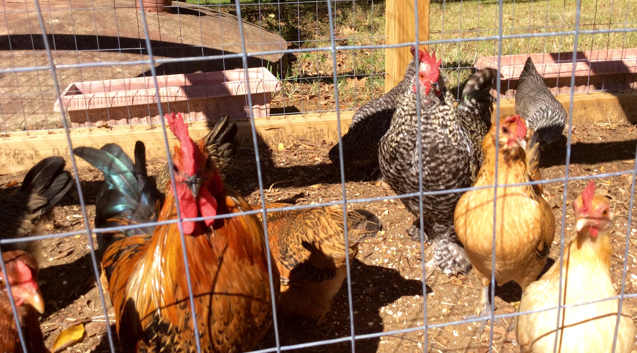 always glad to pose!