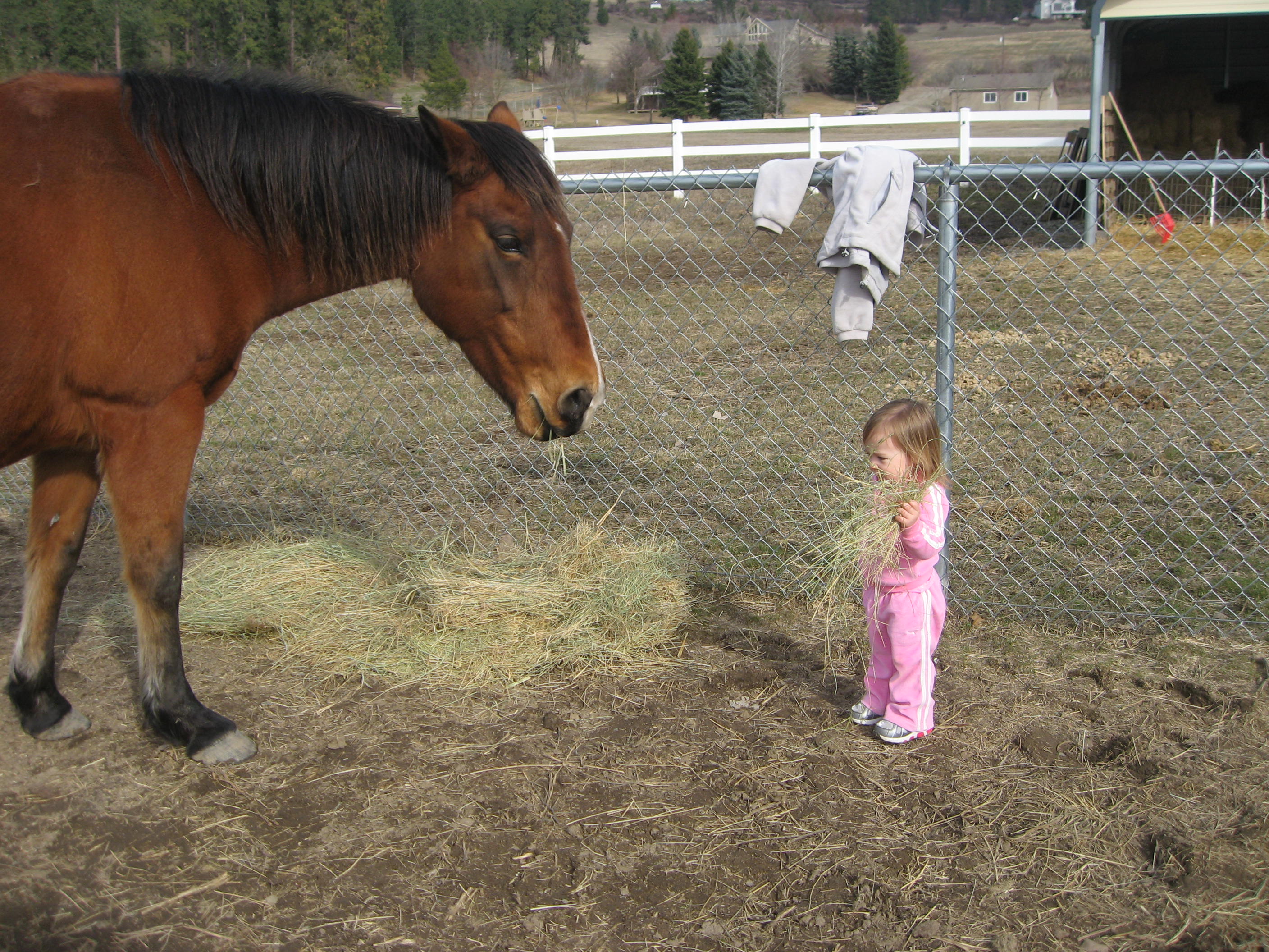 Amanda helping feed Tandy