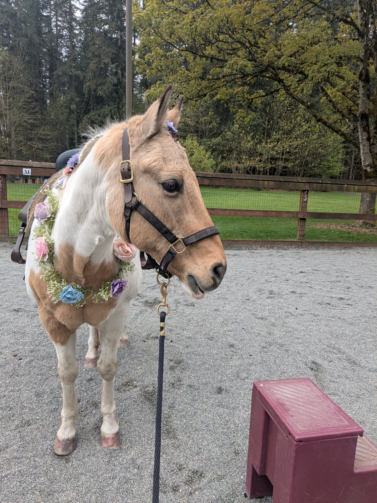 Amazing Easter Animal 16.jpg