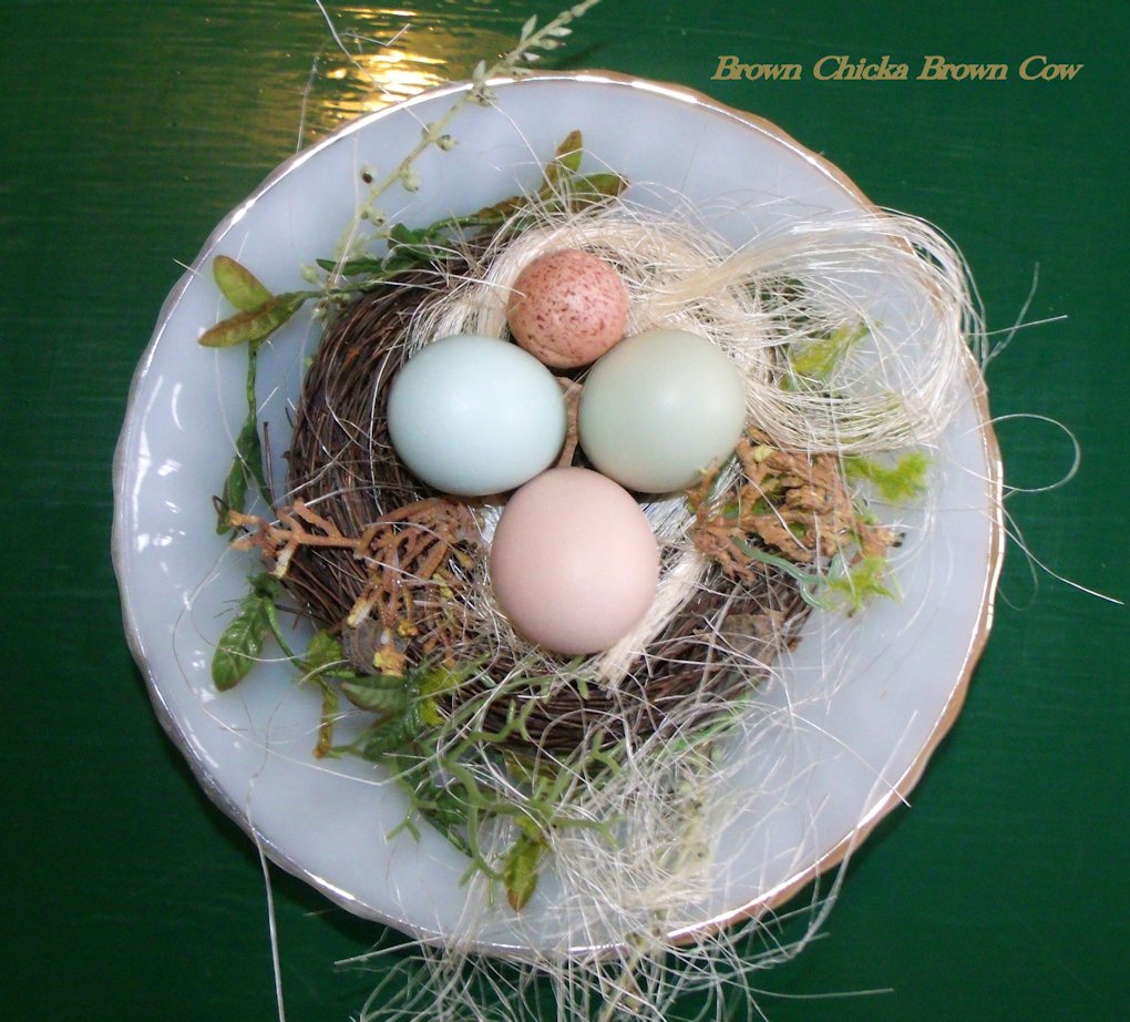 Ameraucan egg on left, d'Amicauna (green egg) on right, and Silkie egg bottom center.