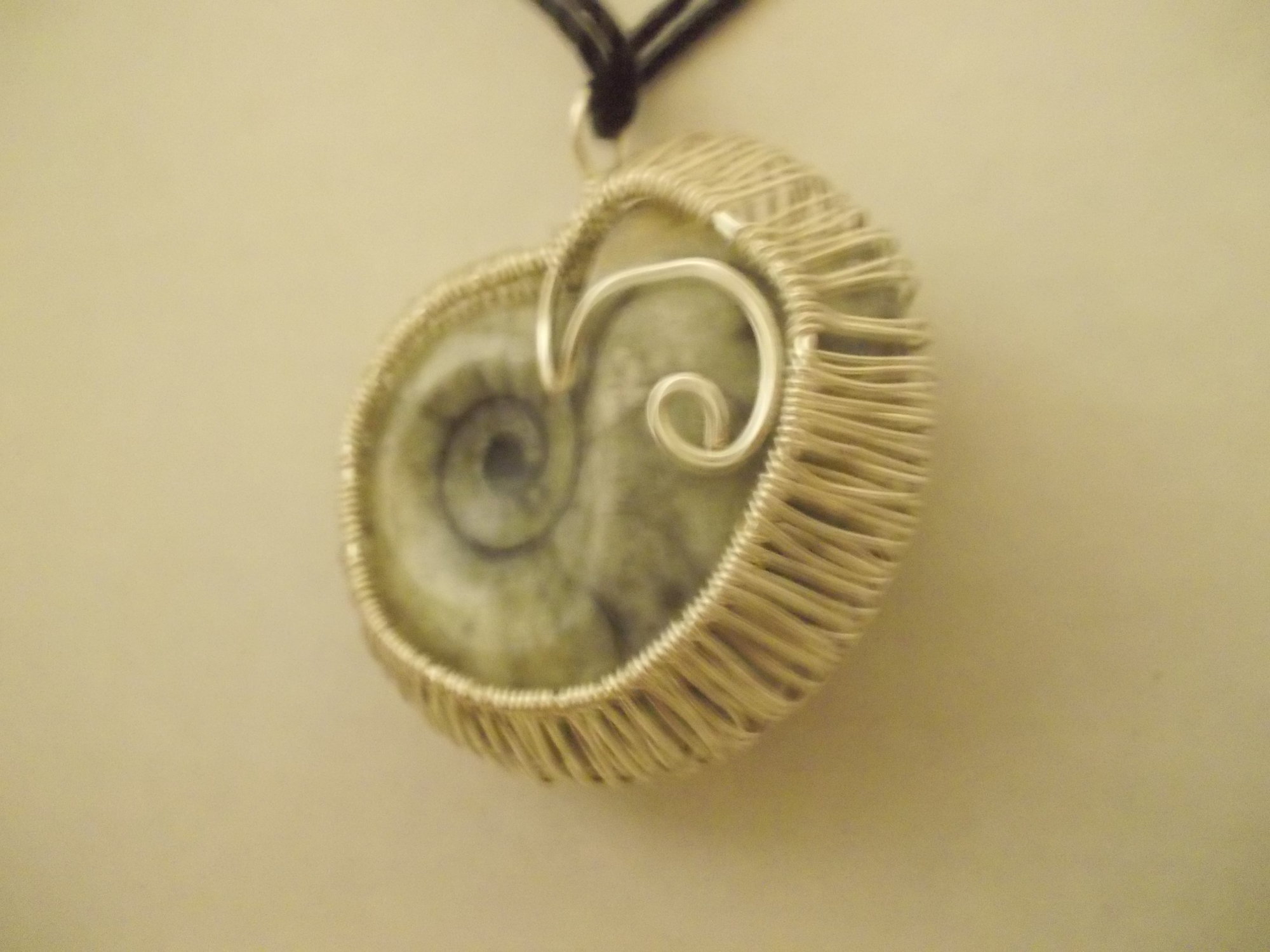 Ammonite front