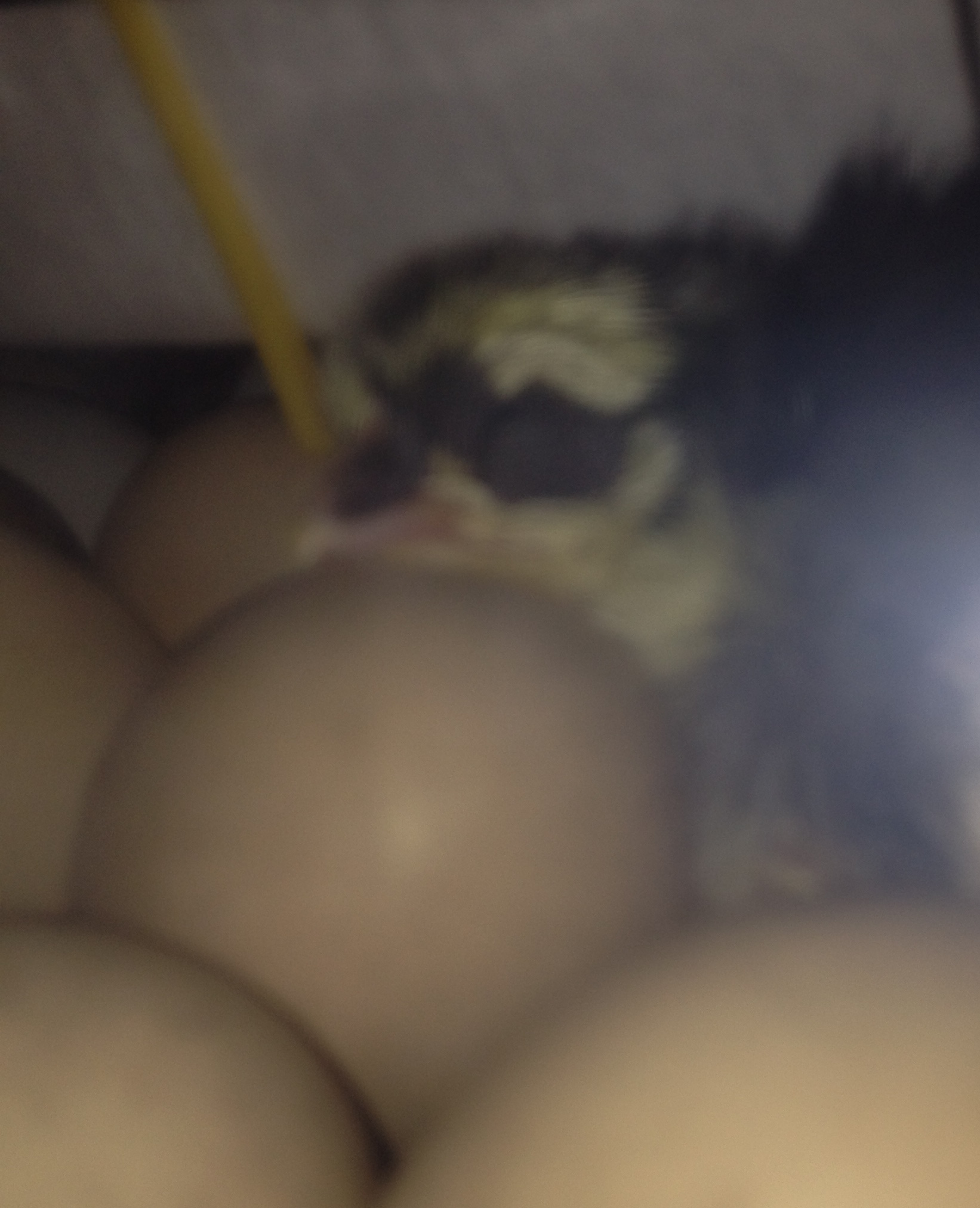 An early bird for the NYD hatch along 2016.