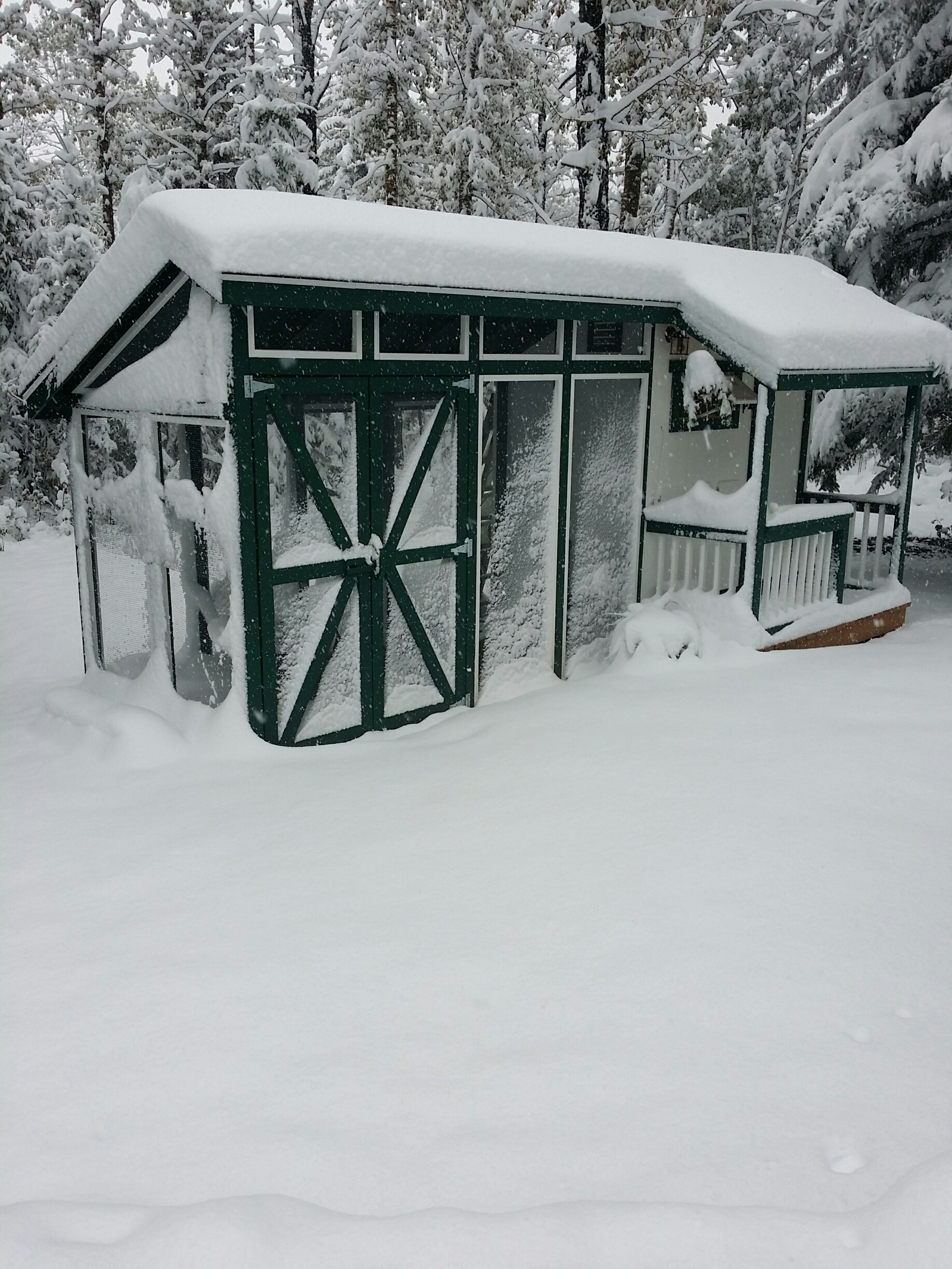 An early snowstorm the first week of Sept. dumped 24" of snow on our coop project. The snow is melted but put construction behind schedule and now we are full steam ahead to finish up the last 10% before winter hits us.  We did get all the automatic features completed so the girls should be happy. I installed auto door, 400 watt flat wall panel heater c/w thermostat to keep coop at 4 deg C. (for those of you that don't think chickens need heat, it gets to - 45 deg C here.) auto water system c/w heat and added a wireless web cam that senses motion and sends a notification to my phone to tell me an egg has been laid and  ready for pick-up.