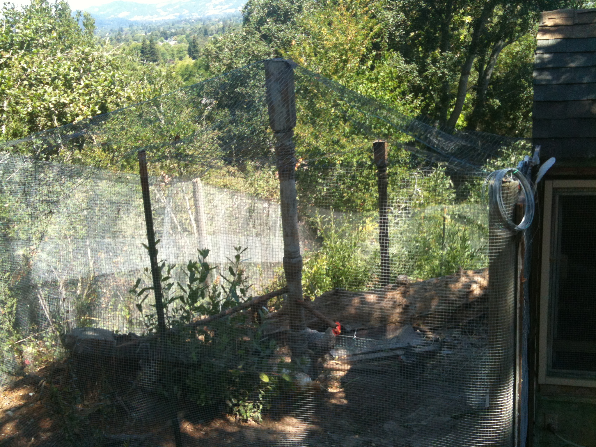 An outside view of the run.