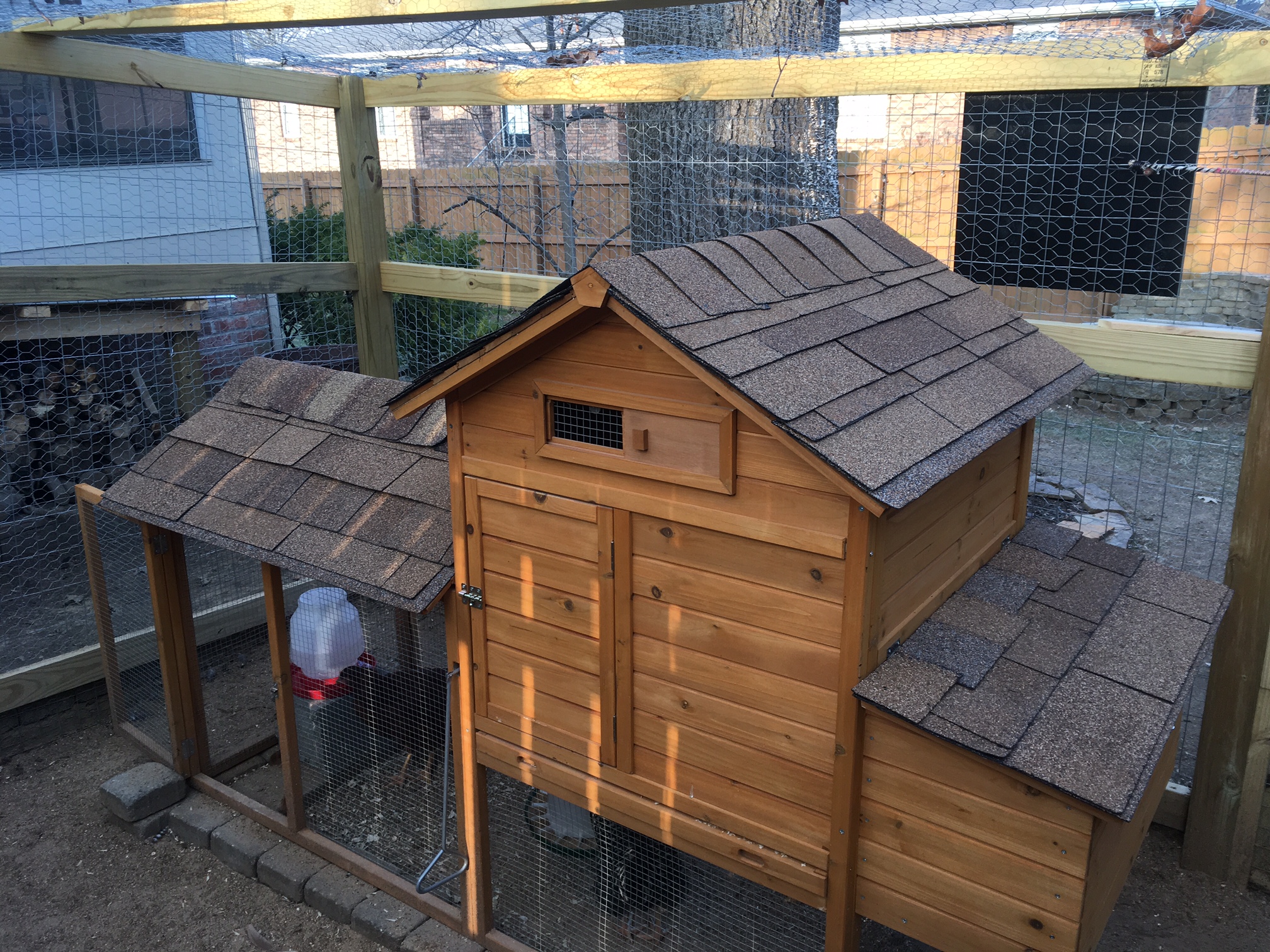 An upgrade was made to our pre-fab coop. I had extra shingles left over from a real roofing job and decided to fancy up the place.
