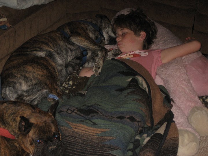 ana , bugs, and tigger