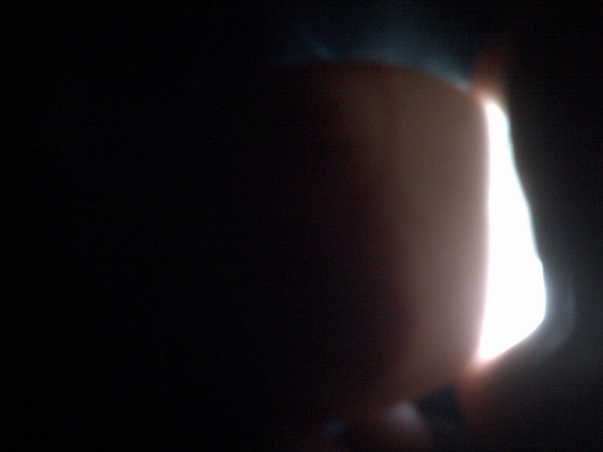 ancona duck egg#3 day 18