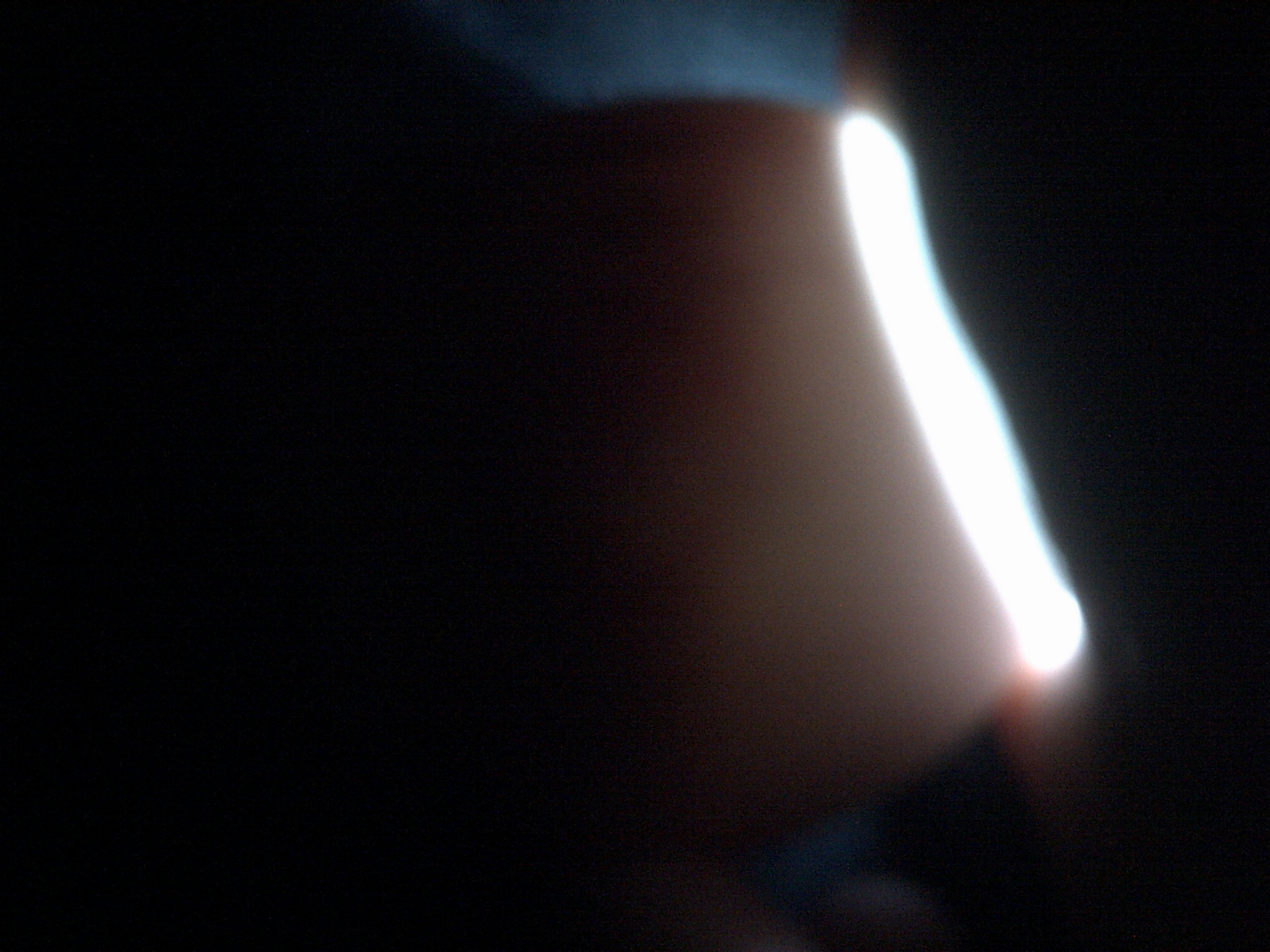 ancona duck egg#4 day 18