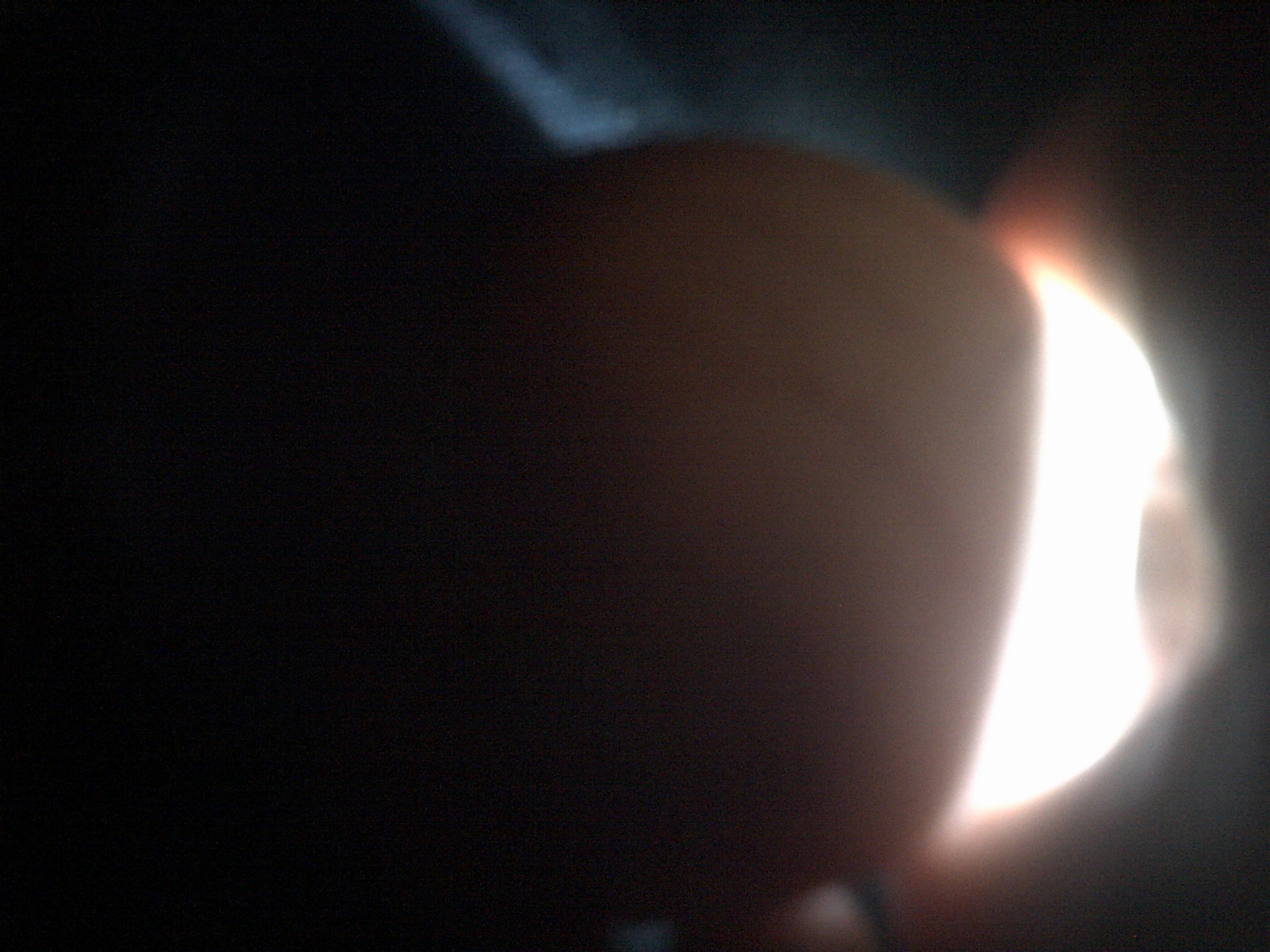 ancona duck egg#5 day 18