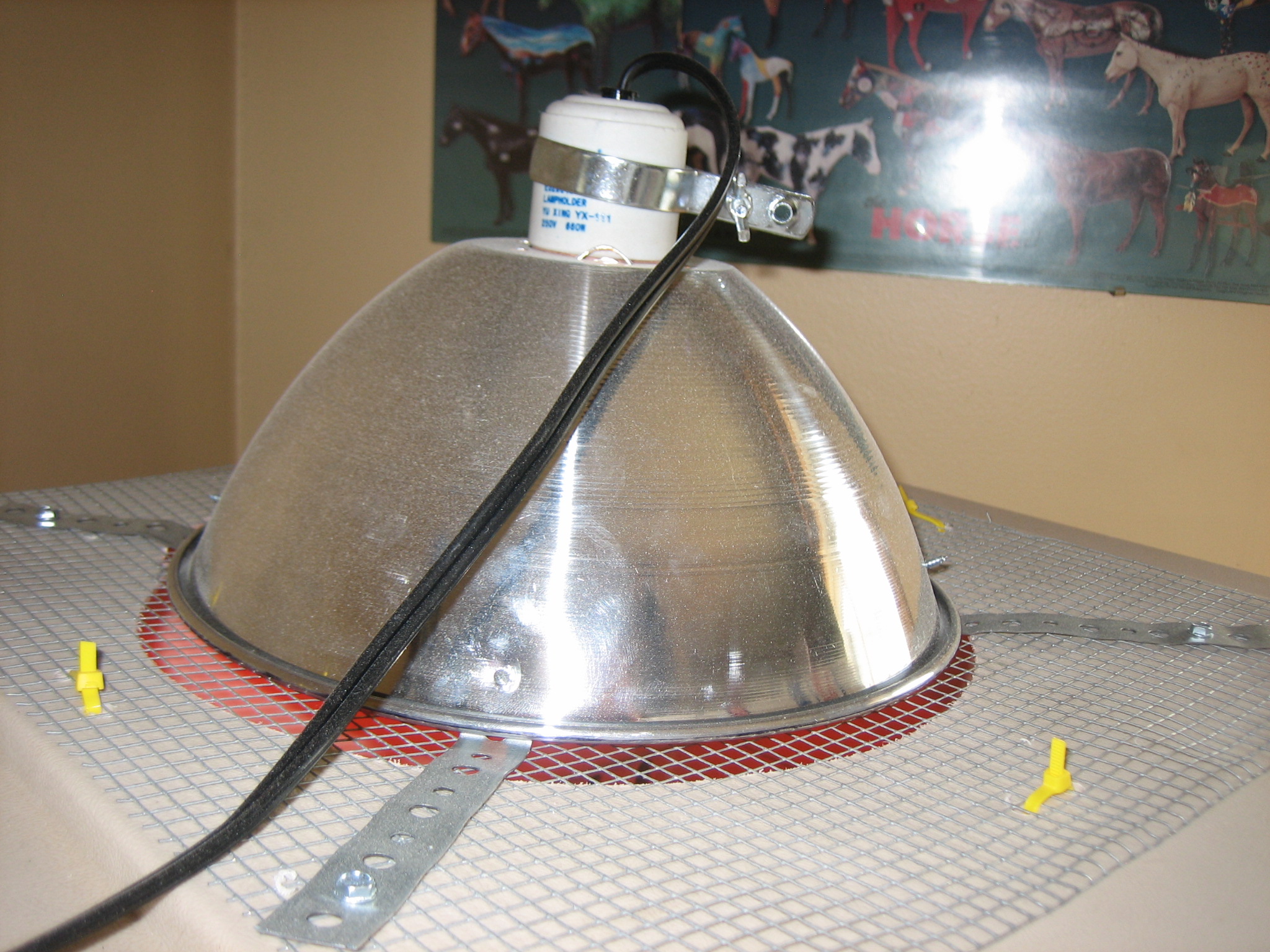 And attached the heat lamp securely so that it would not move.
