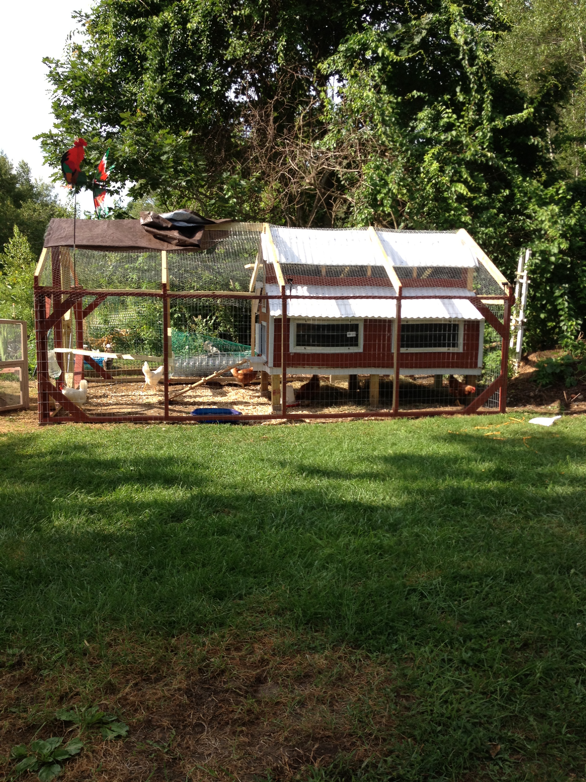 And finally working on the run.  Boy this takes a while...  Plenty of room, run is 16' by 12' and attached to my 40 x 40 garden.
