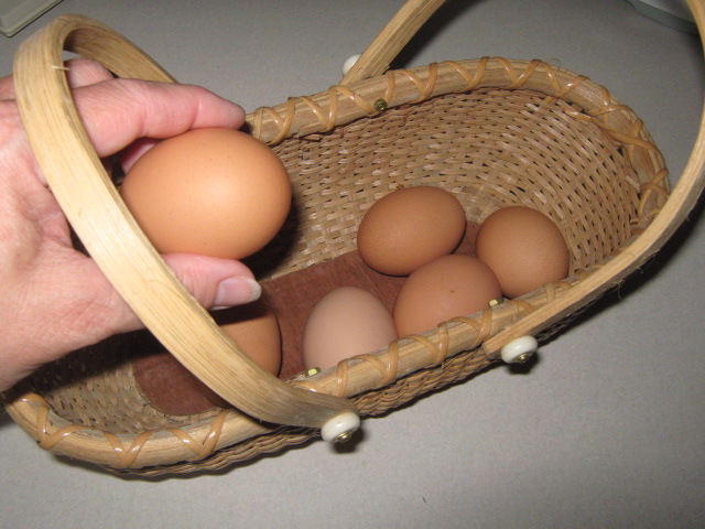 And the beautiful and tasty end result - fresh eggs every morning, enough to share!