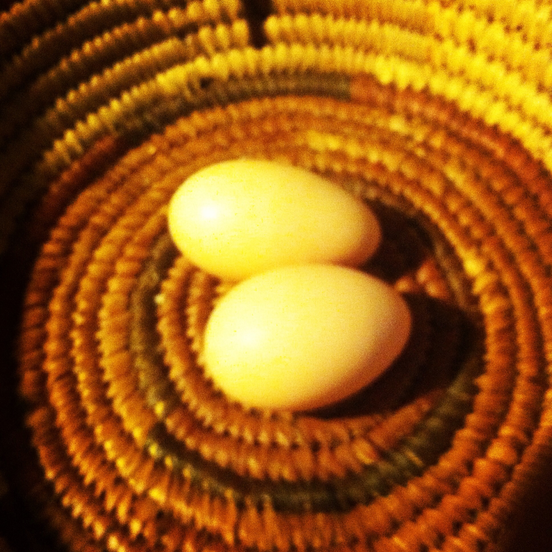 And then there were two