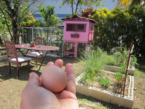 And this is my coop in the west coast of Puerto Rico as you already may know :)