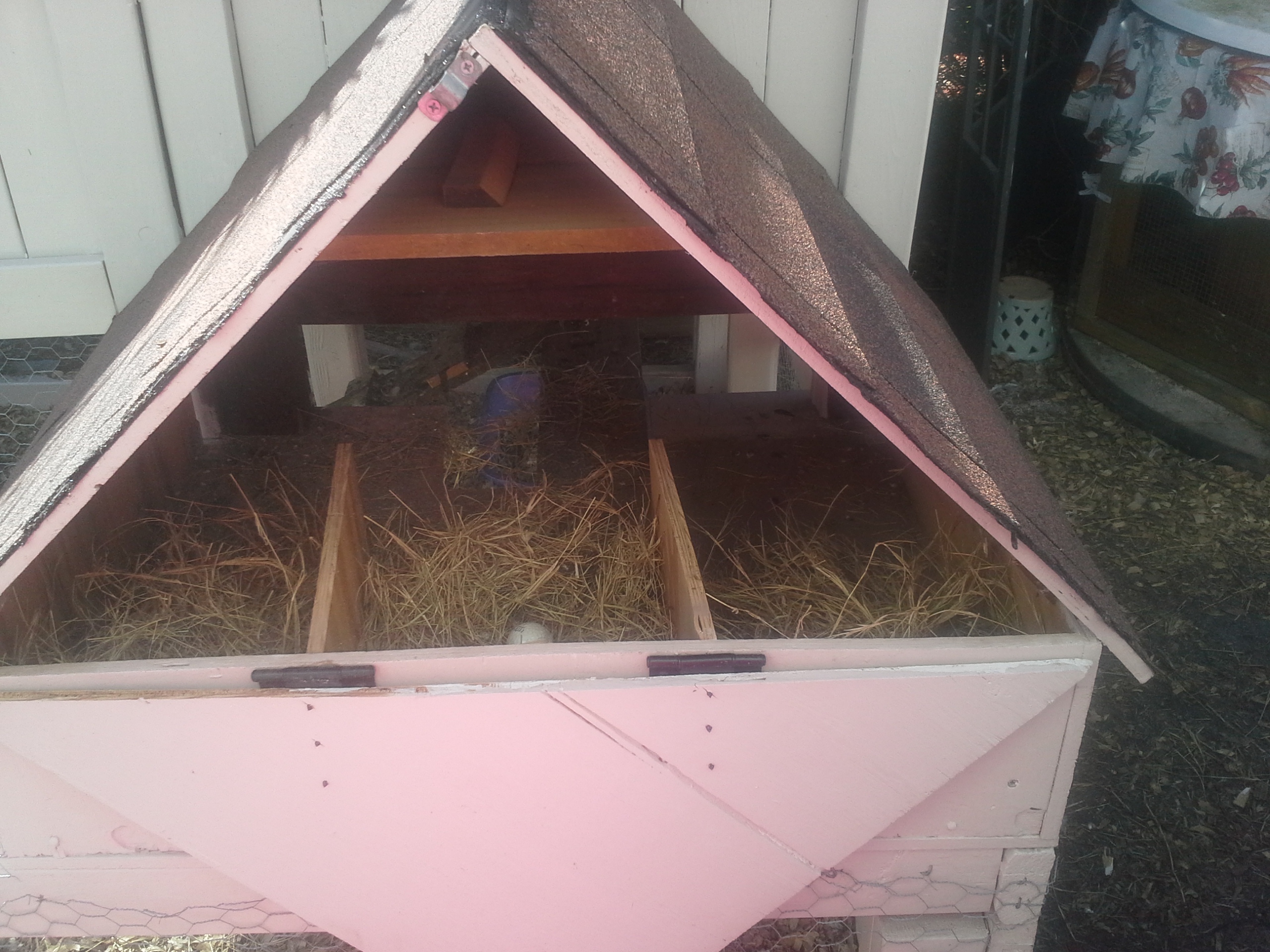 ... and this is where all the magic happens ... will happen soon ... I hope.  A little golfball in there for encouragement