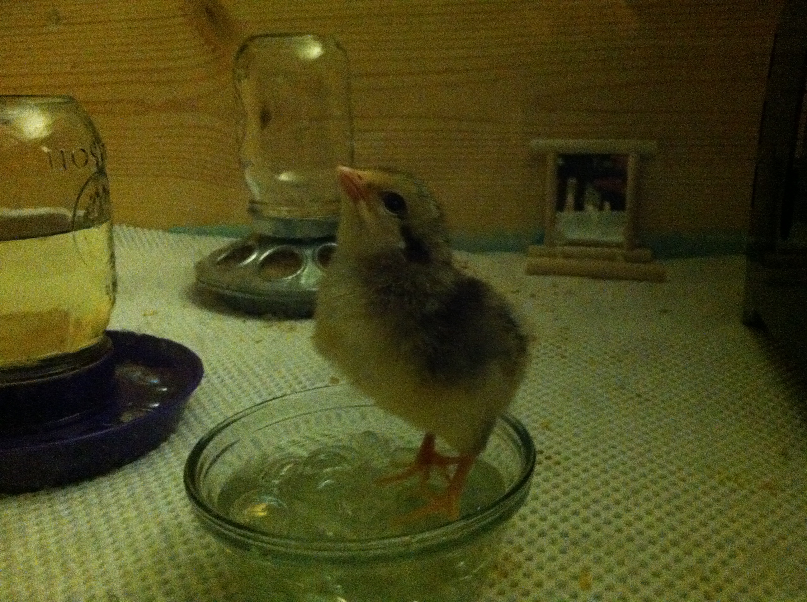 And this is why the glass marble bowl was taken away