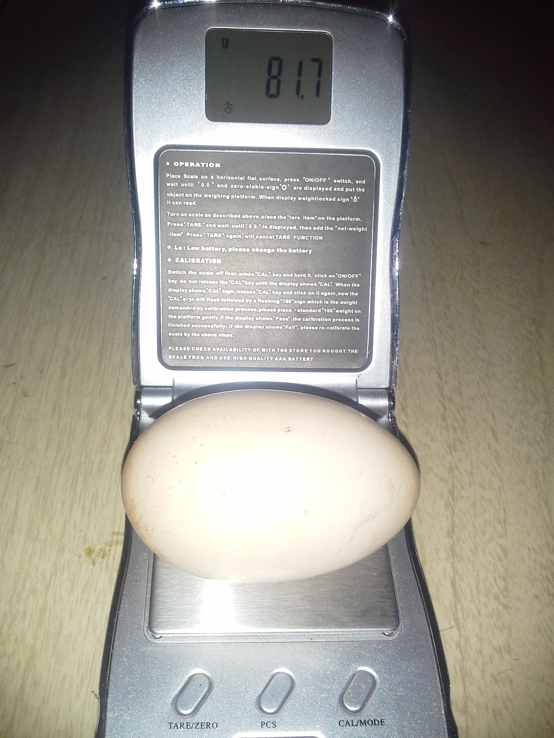 And we thought this was the biggest egg we'd ever seen...