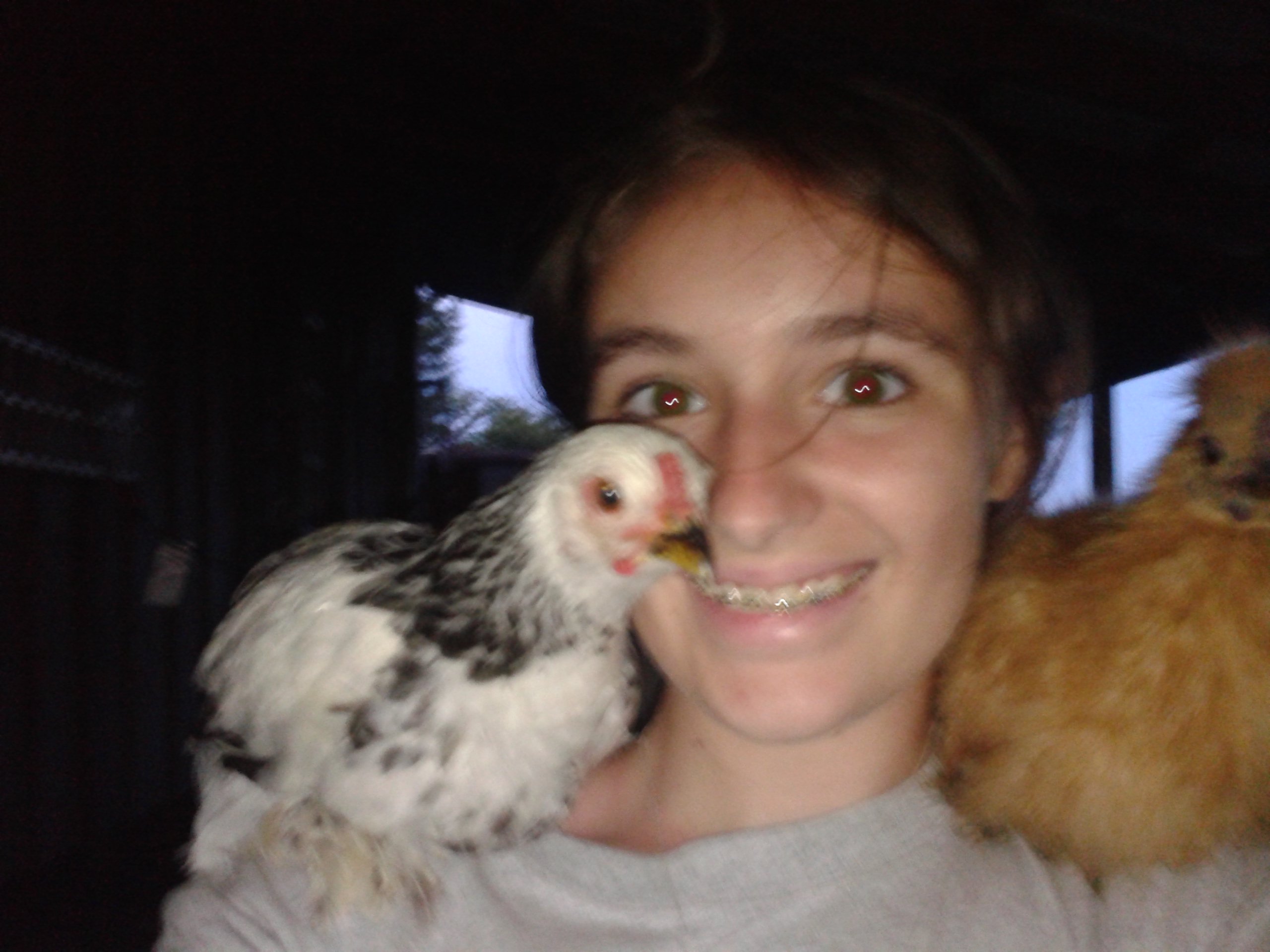 angel(r.i.p.) and camel(: