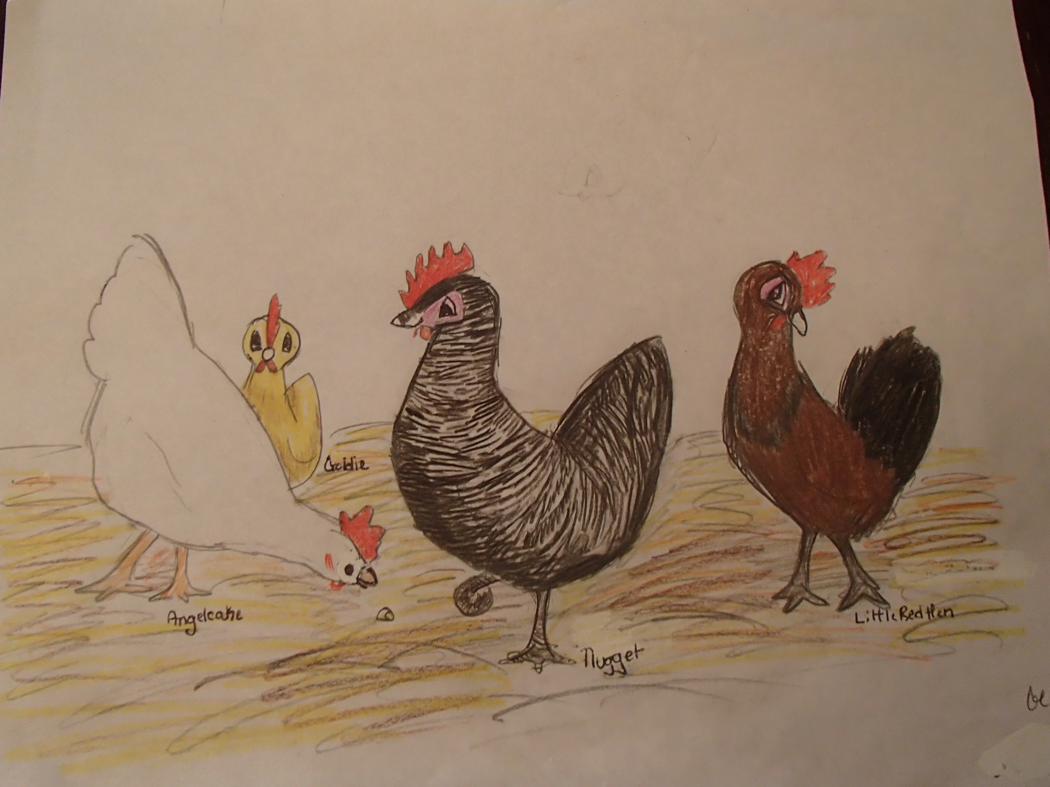 Angelcake, Goldie, Nugget, and LittleRedHen :)