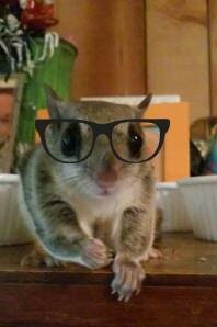 Annabelle, intellectual and cute!