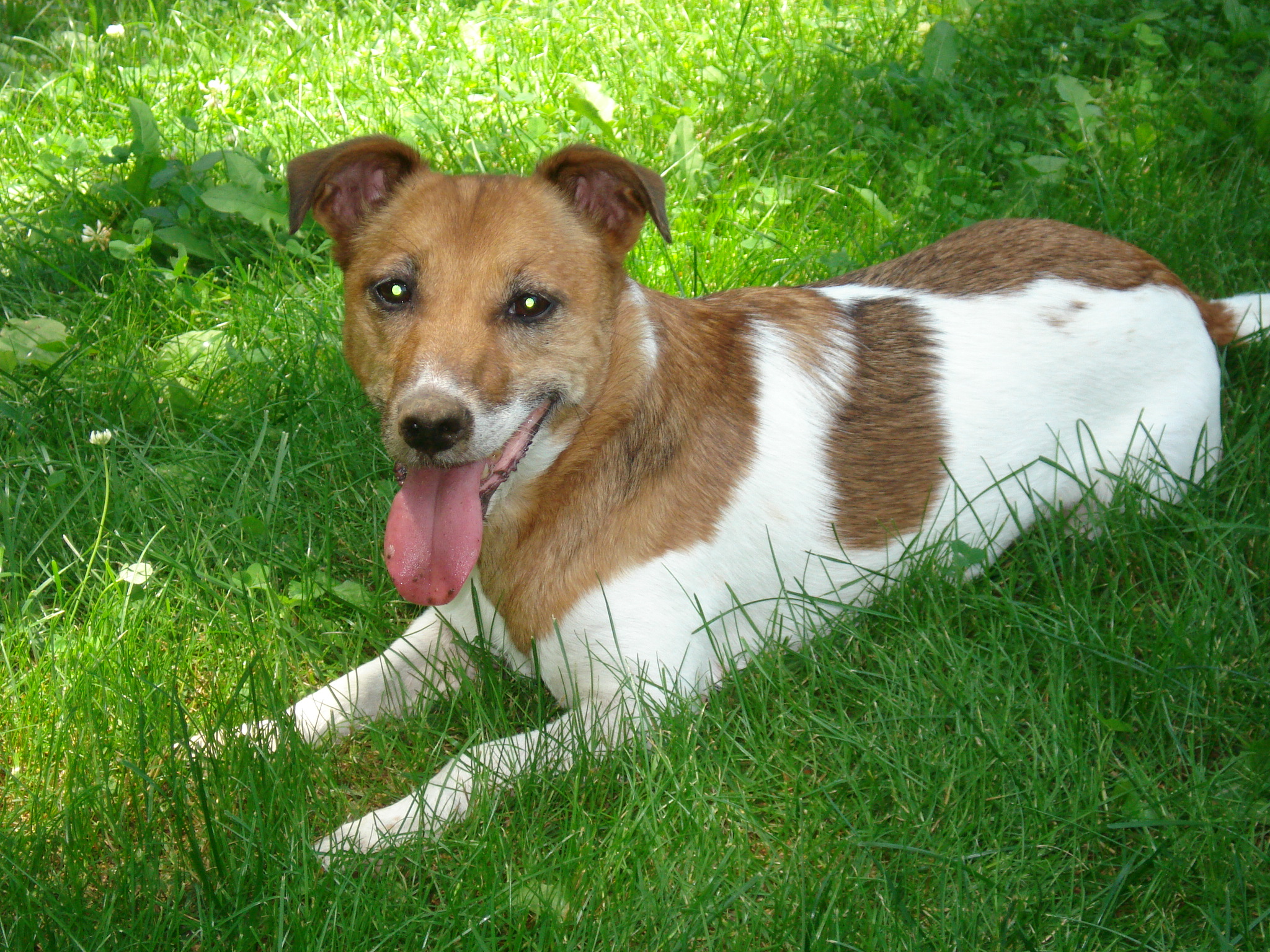 Annie at 14