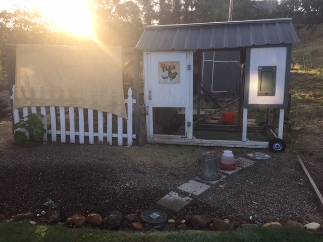 Ann's Chicken Duplex & Run