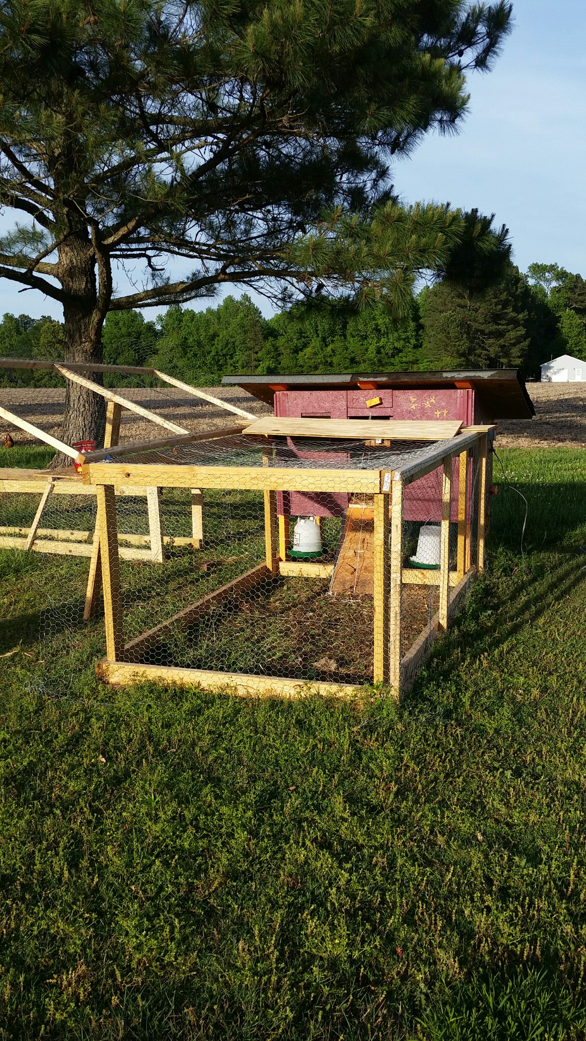 Another angle on Hokie Coop