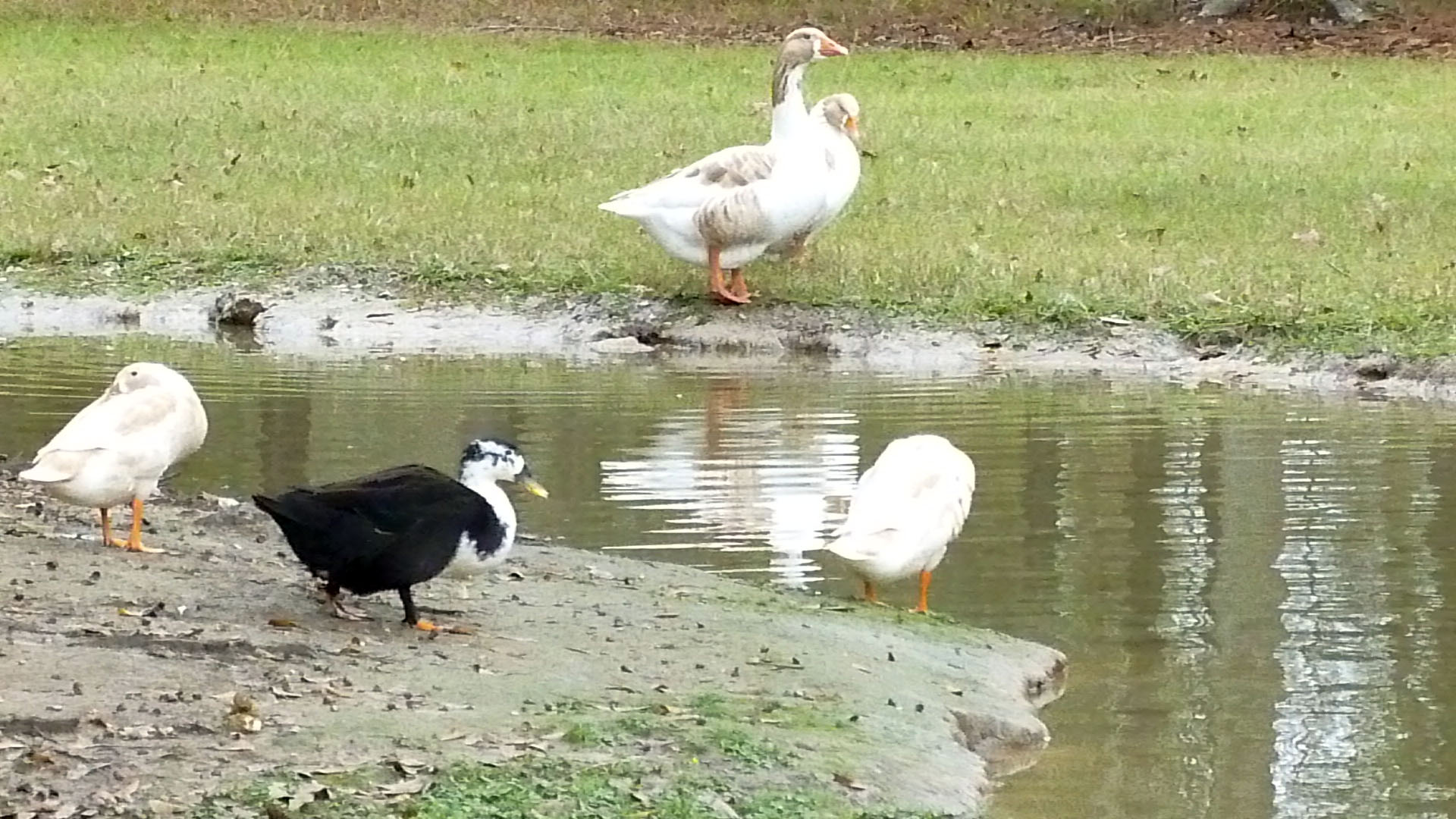 Another day on the pond.