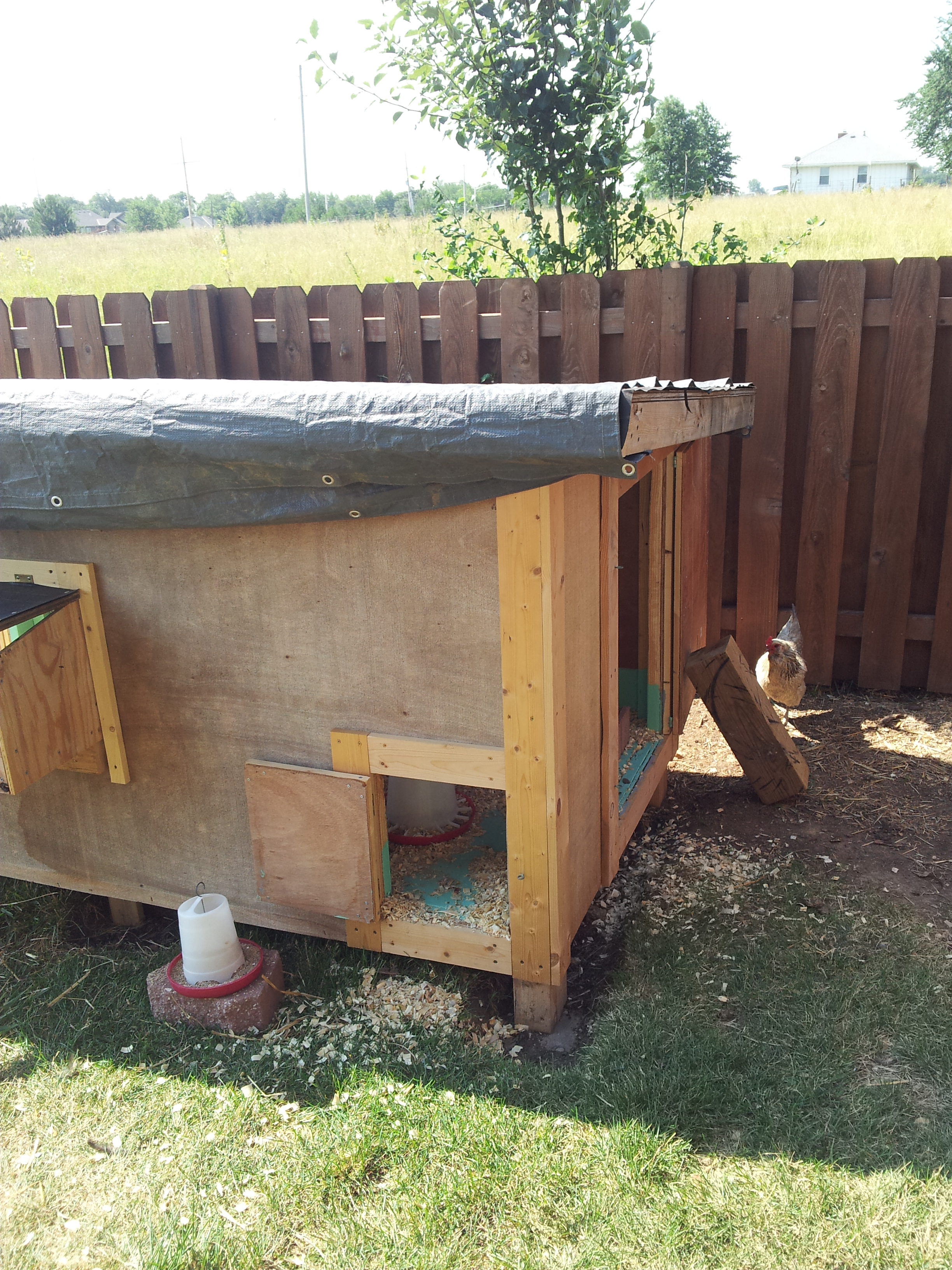 Another daylight view.